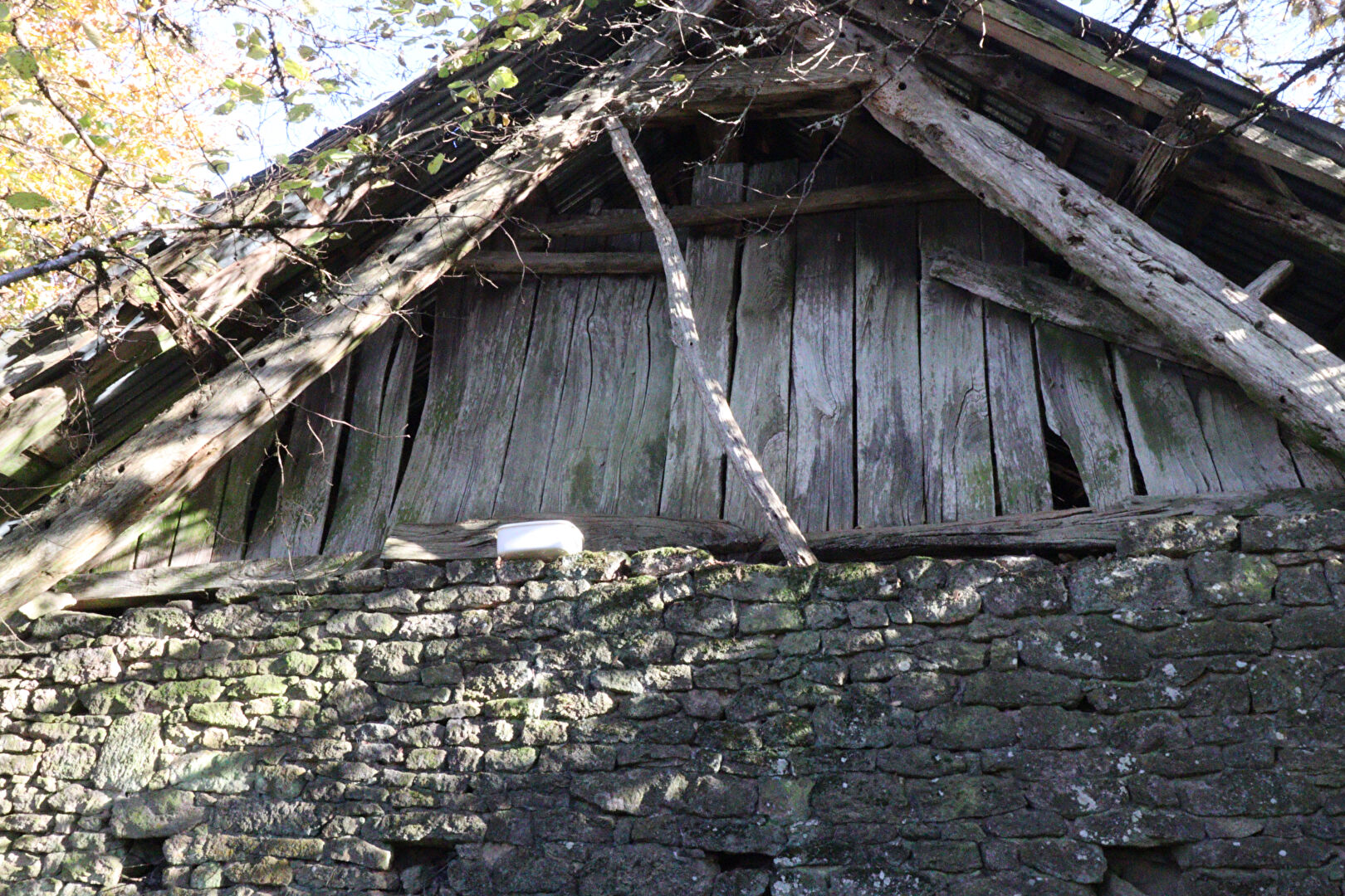 Photo CORREZE.  St Augustin.  Grange mitoyenne avec terrain de 2959m2 image 3/6