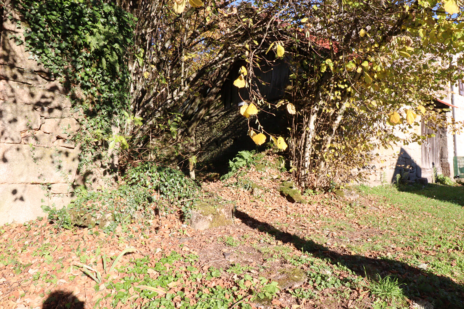 Photo CORREZE.  St Augustin.  Grange mitoyenne avec terrain de 2959m2 image 5/6