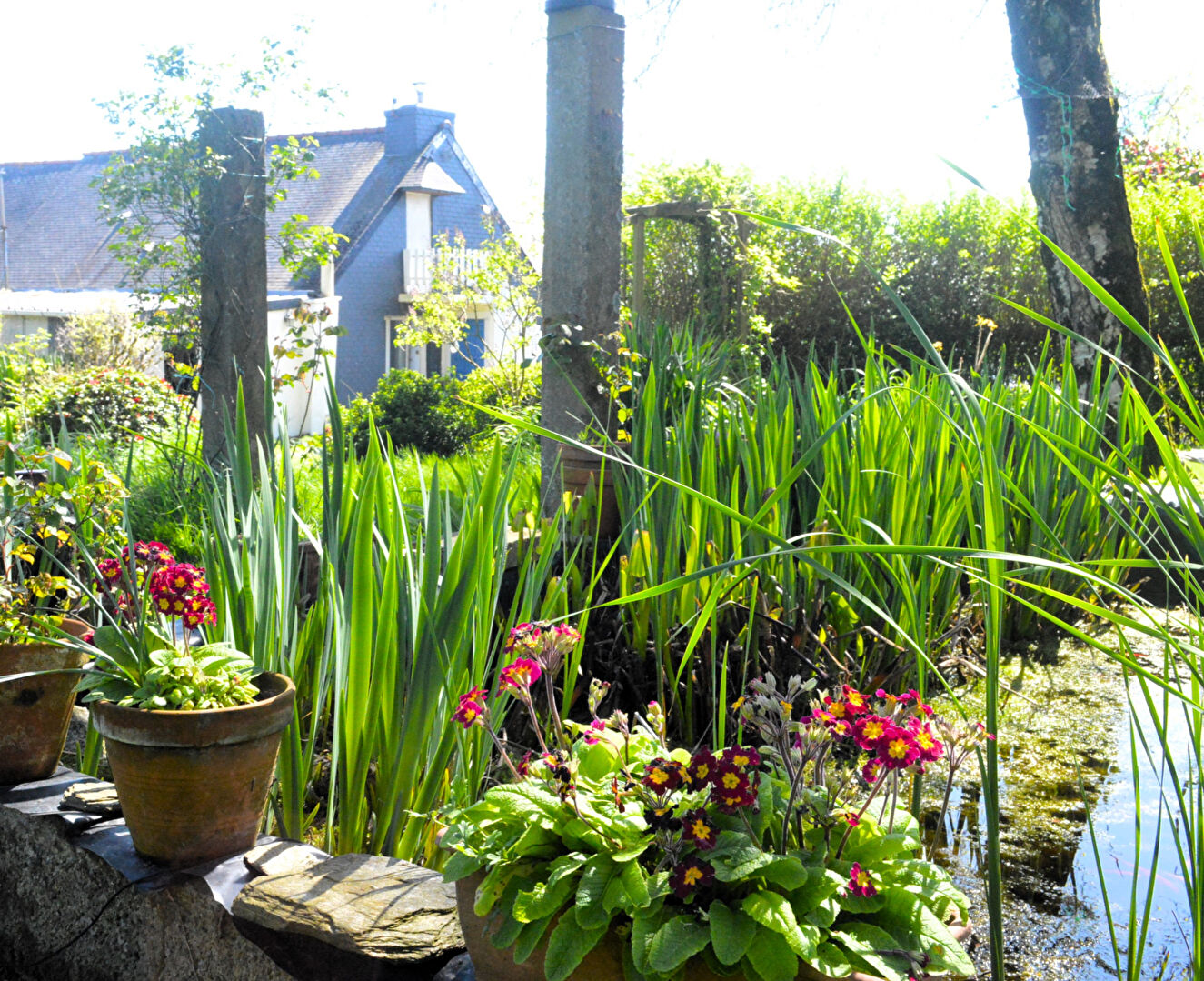 Photo CÔTES D'ARMOR Maison avec garage, terrain, puits, et dépendances image 5/6