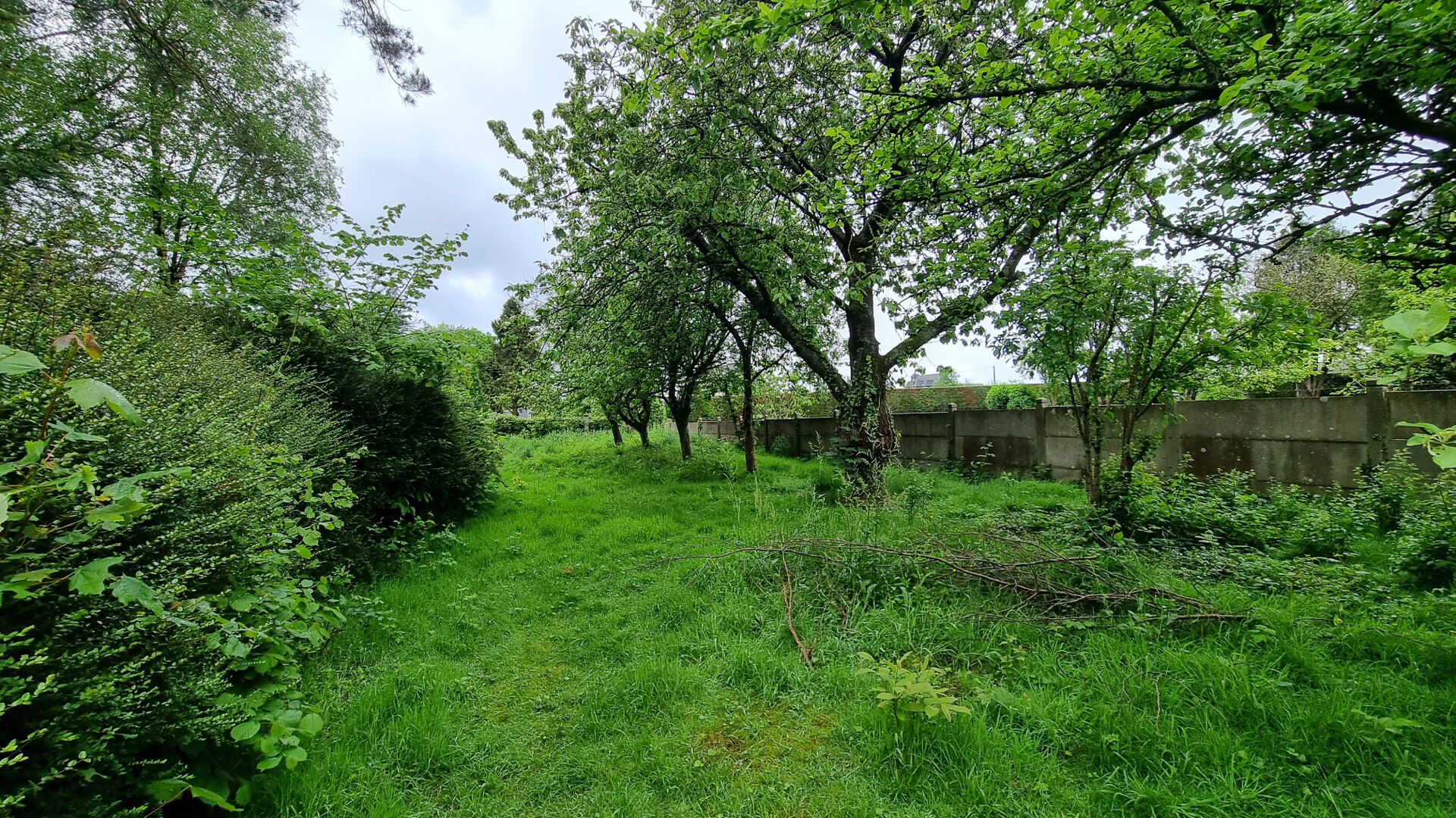 Photo CÔTES D'ARMOR Maison avec garage, terrain, puits, et dépendances image 6/6