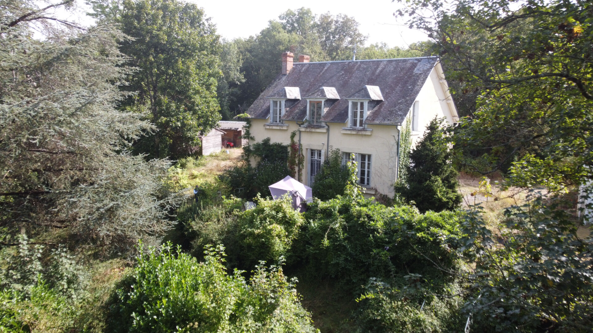 Photo VIENNE - Superbe propriété à rafraîchir, idéale pour les chevaux. image 1/6