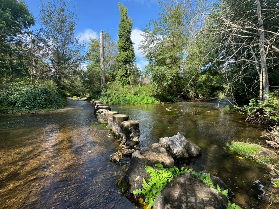 Photo VIENNE - Superbe propriété à rafraîchir, idéale pour les chevaux. image 4/6