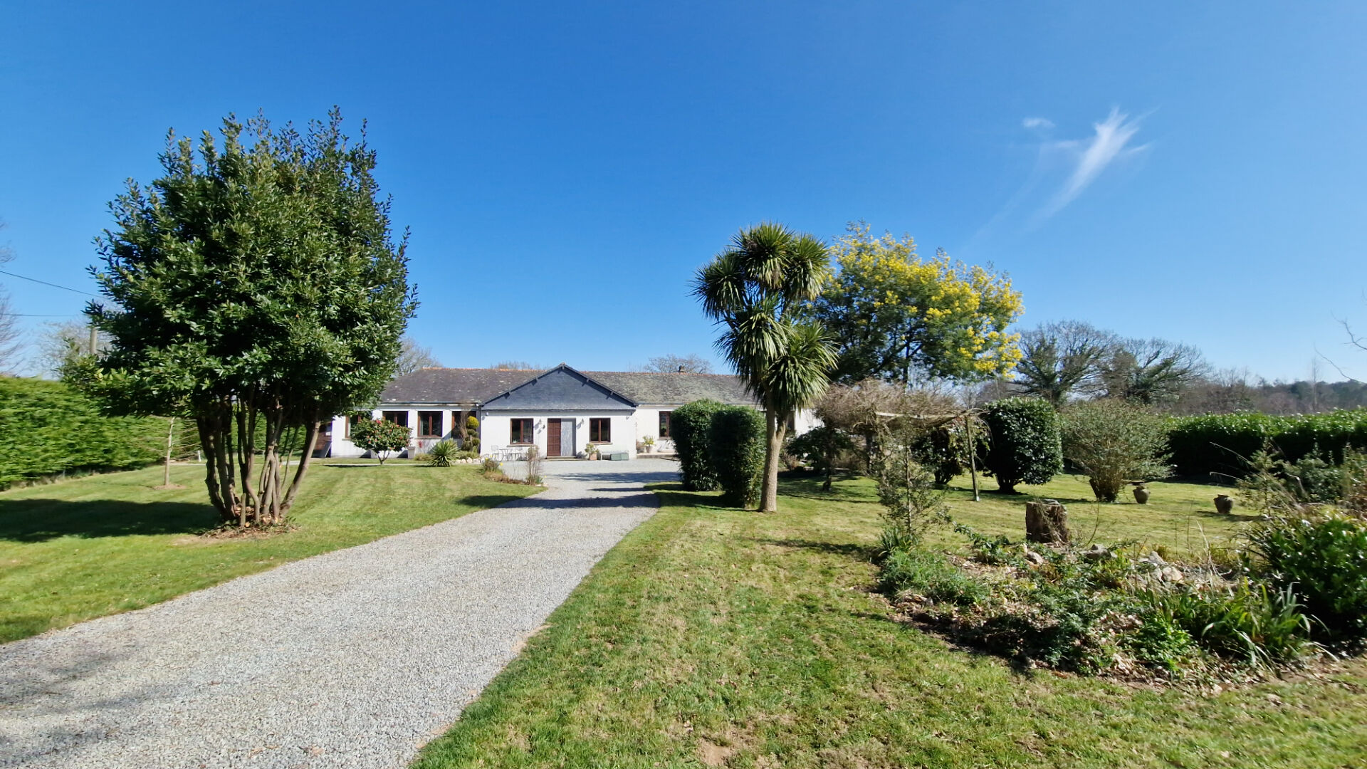 Photo MORBIHAN Maison rénovée de plain-pied , 4 chambres, longue allée, beau jardin, sur terrain 10000 m2 image 4/6