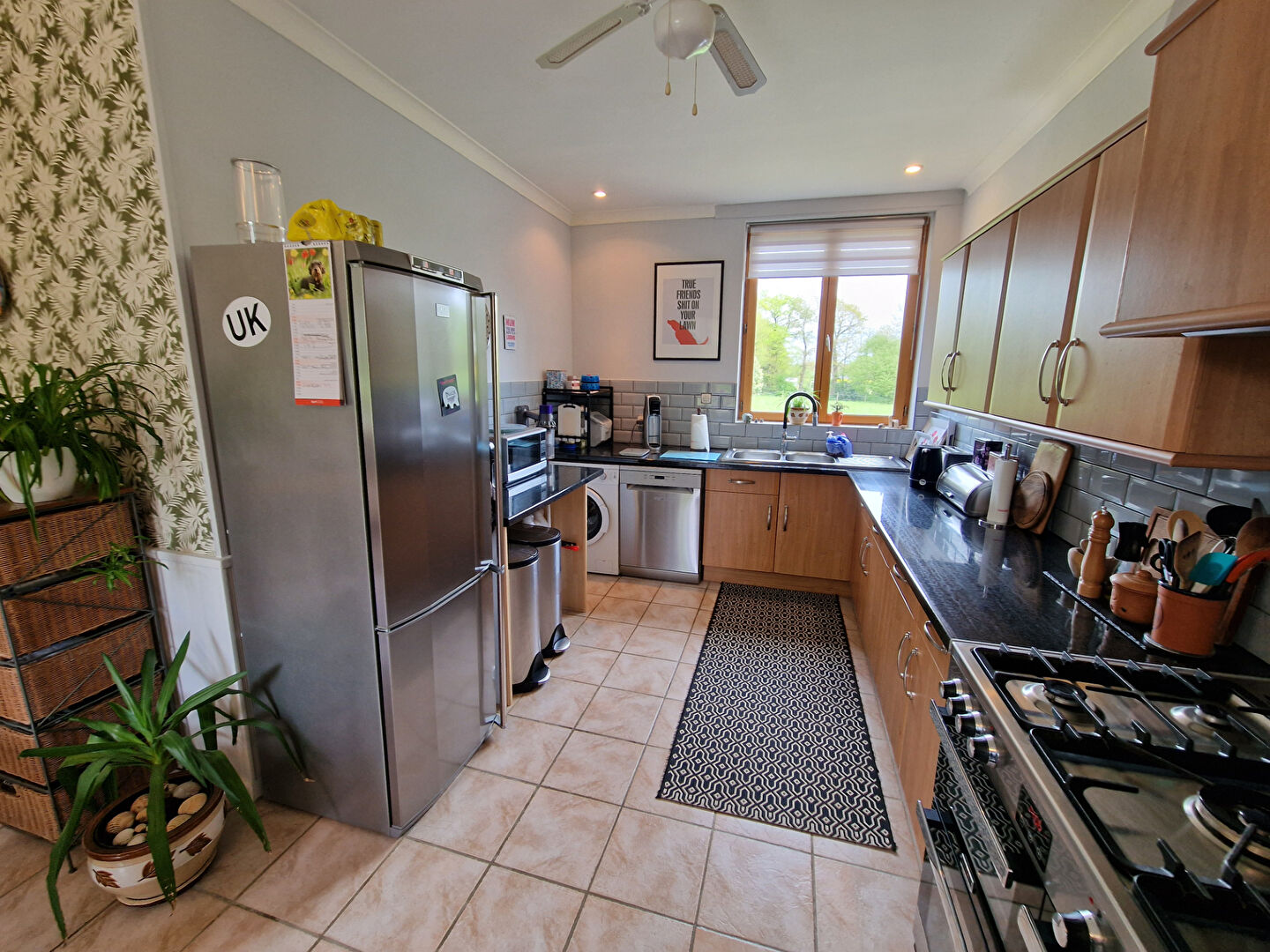 Photo MORBIHAN Maison rénovée de plain-pied , 4 chambres, longue allée, beau jardin, sur terrain 10000 m2 image 6/6