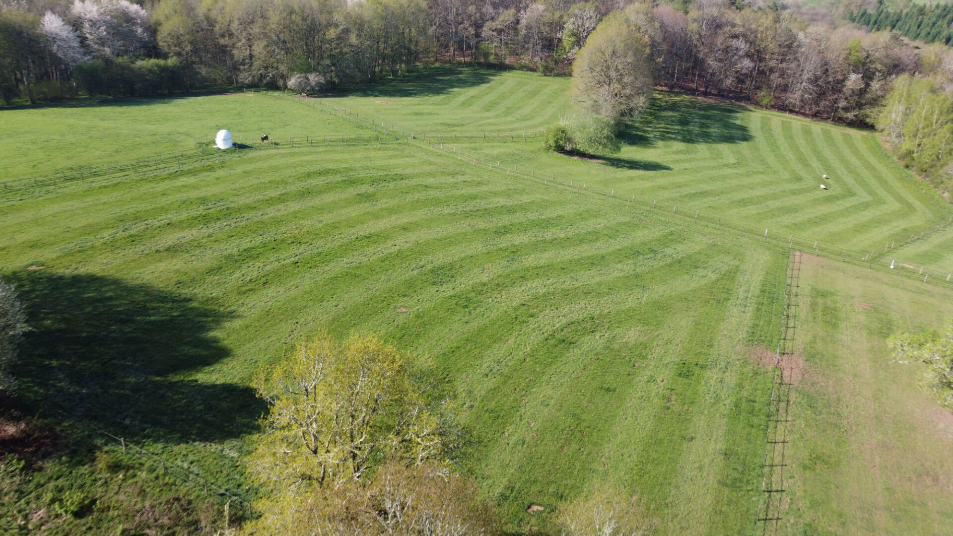 Photo Superbe domaine rural de 20 hectares, avec château de style bourgeois, grande maison et nombreux bâtiments. image 3/6