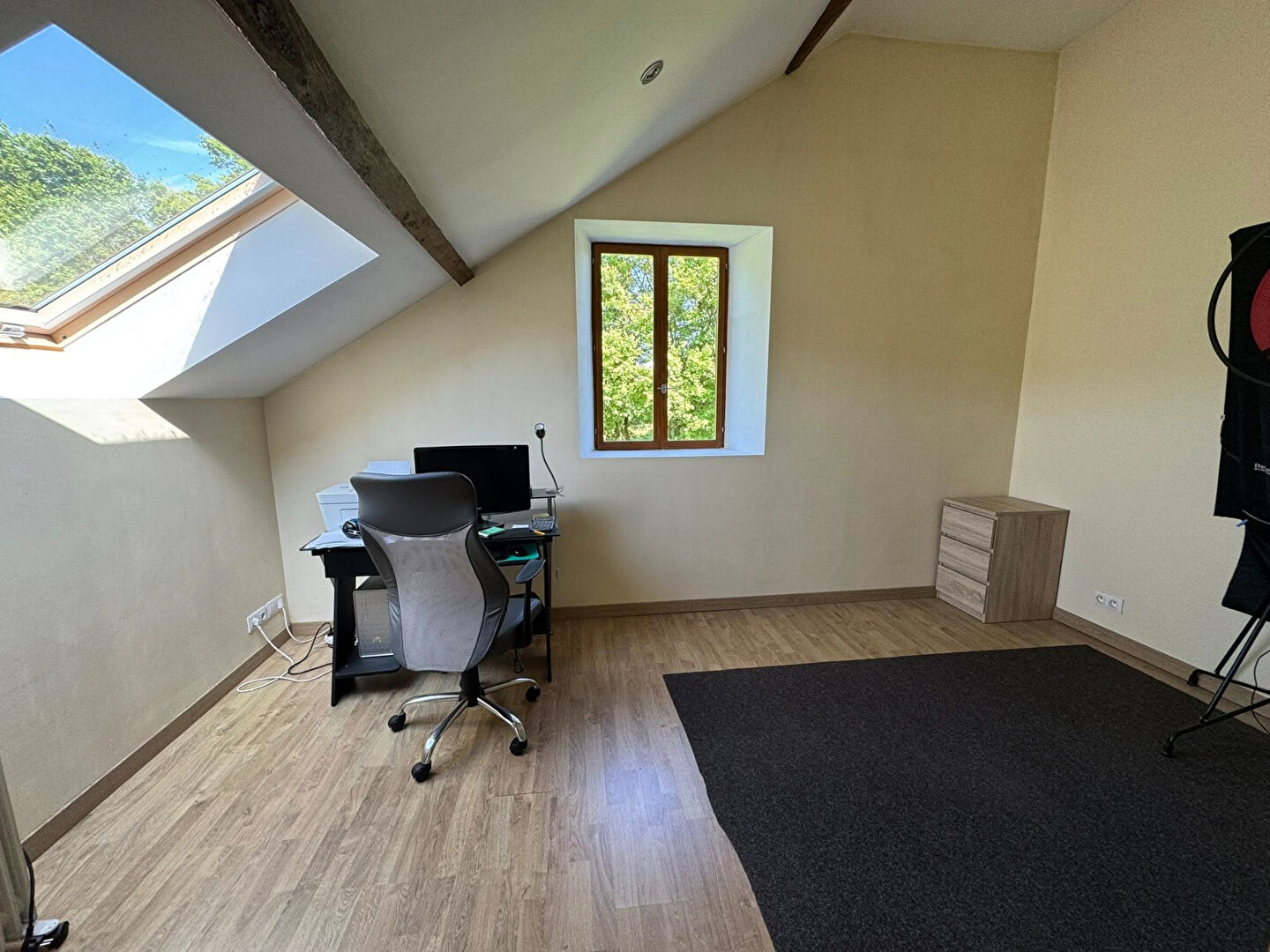 Bright room with a desk and skylight, ideal for home office in a property located in Haute-Vienne, Nouvelle-Aquitaine.