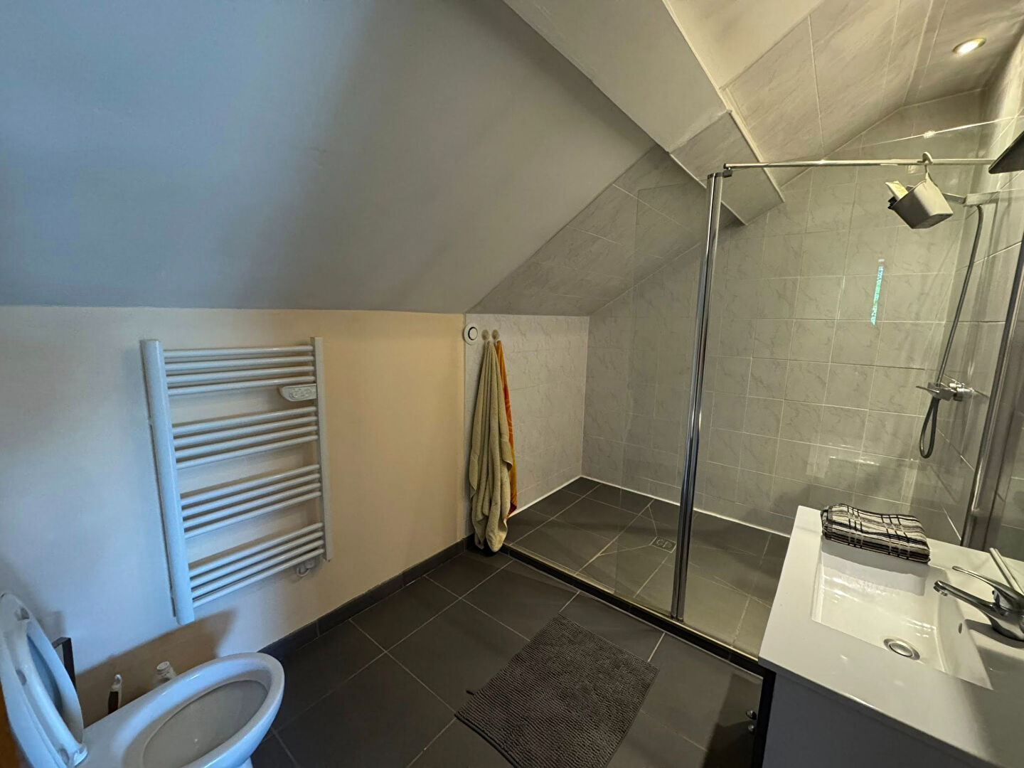 Modern bathroom featuring a shower, towel radiator, and sleek tiles in Haute-Vienne, Nouvelle-Aquitaine.