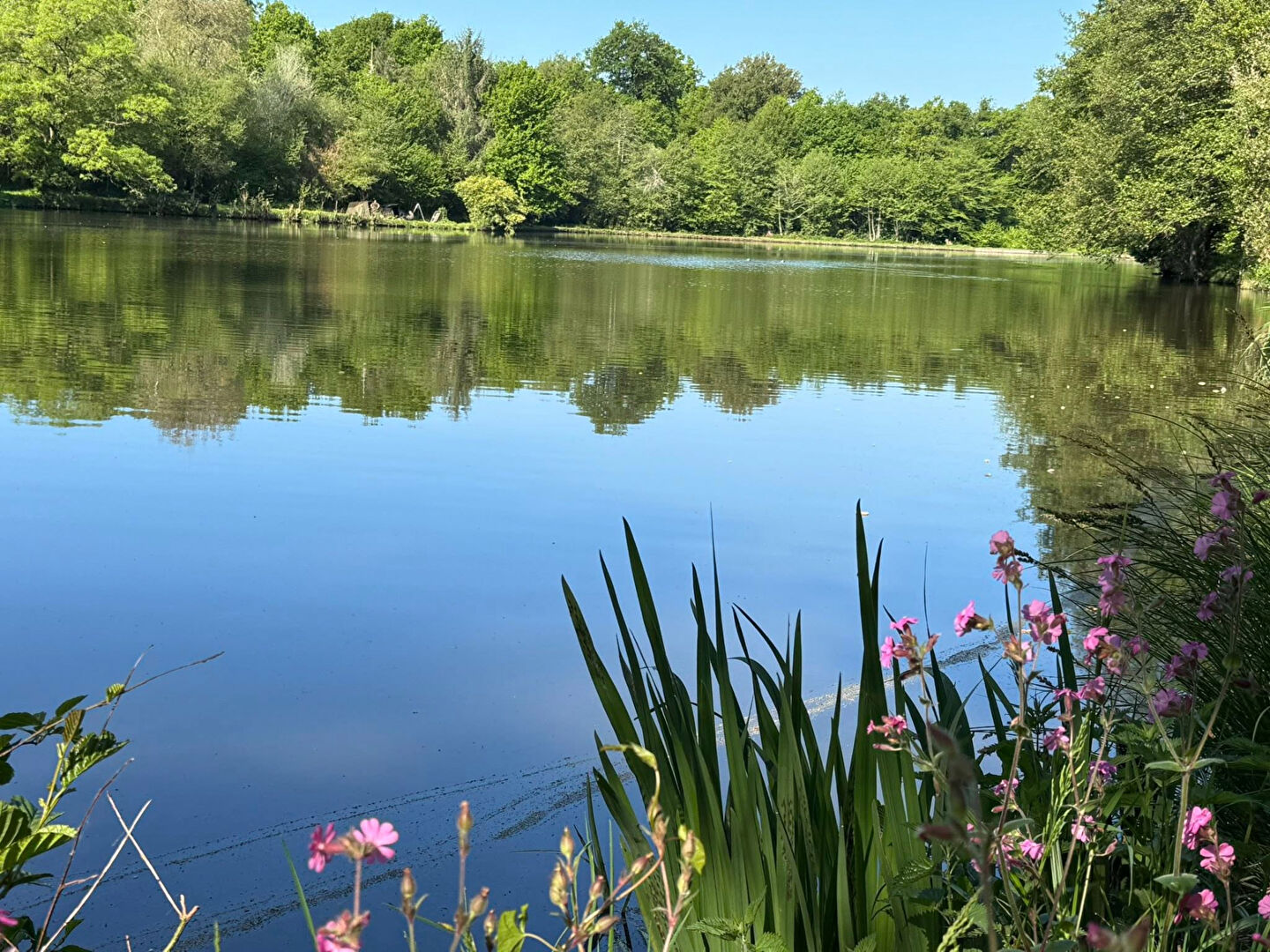 A serene view of a lake surrounded by greenery in Haute-Vienne, Nouvelle-Aquitaine, ideal for property exploration.