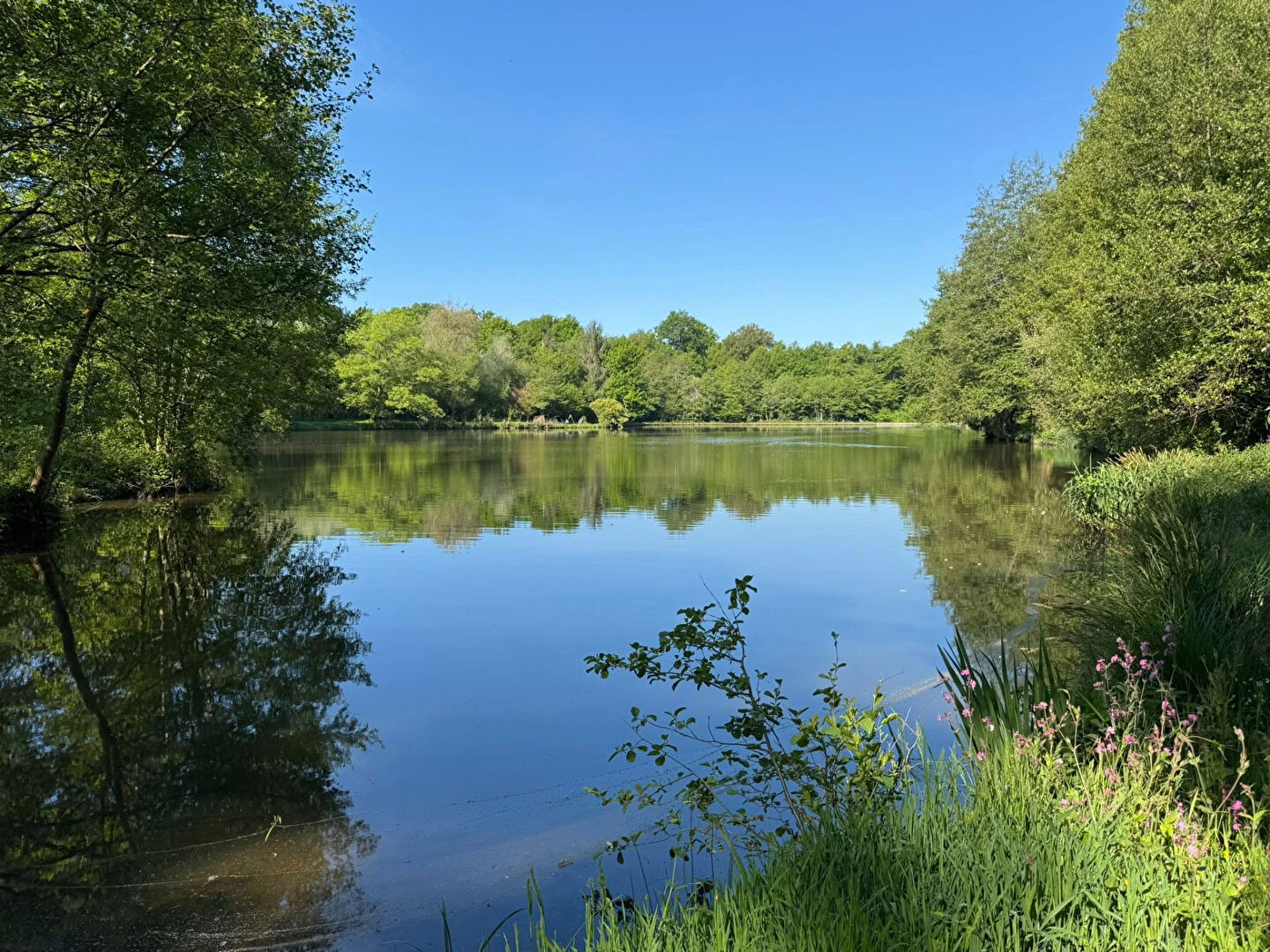 Scenic view of a tranquil lake surrounded by lush greenery in Haute-Vienne, Nouvelle-Aquitaine, 87800, France.