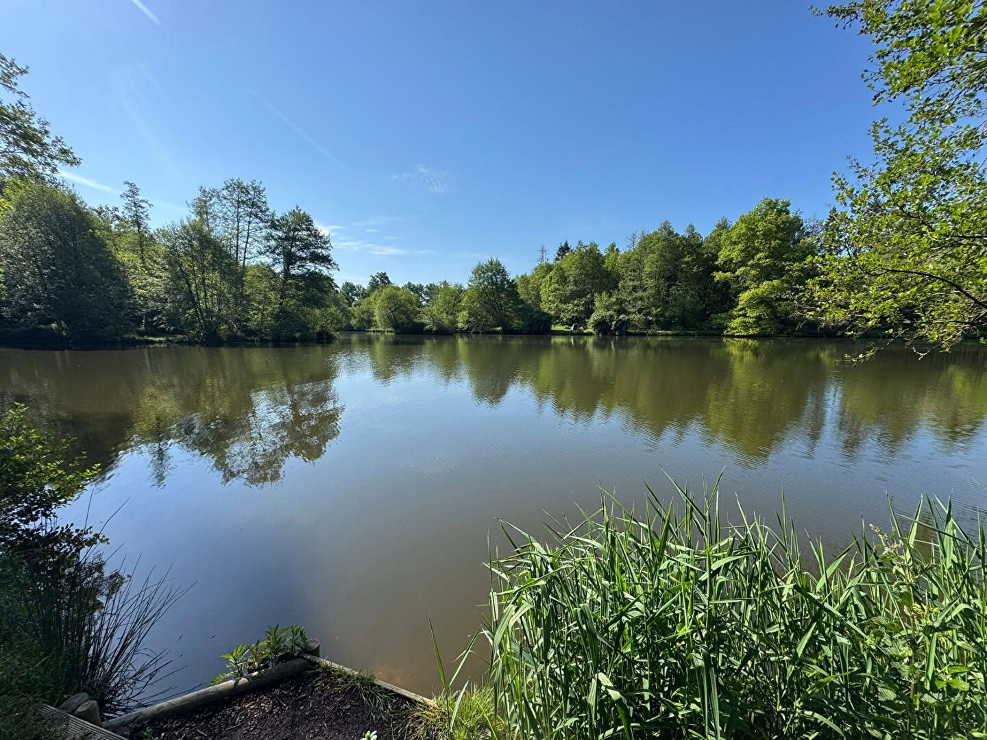 Tranquil view of a lake surrounded by greenery, located in Haute-Vienne, Nouvelle-Aquitaine, 87800, France.