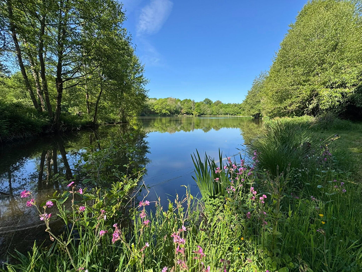 Serene landscape view near a property in Haute-Vienne, Nouvelle-Aquitaine, featuring water and lush greenery.