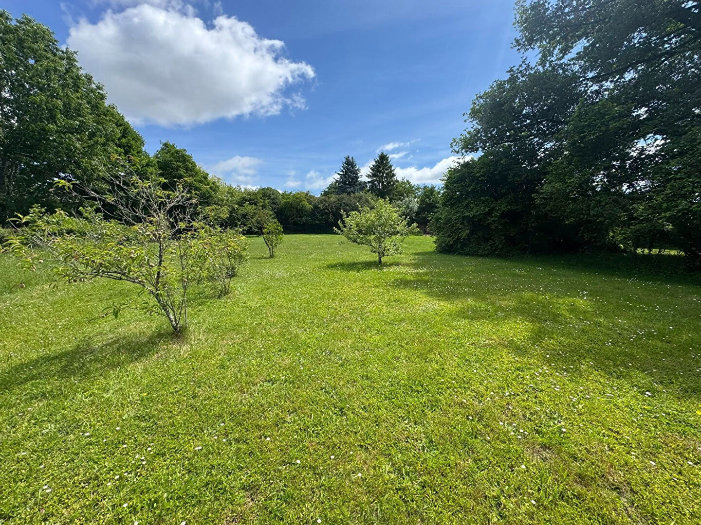 Photo HAUTE VIENNE - Propriété magnifiquement présentée, avec un deuxième maison à rénover et un jardin de 4373 m². image 6/6