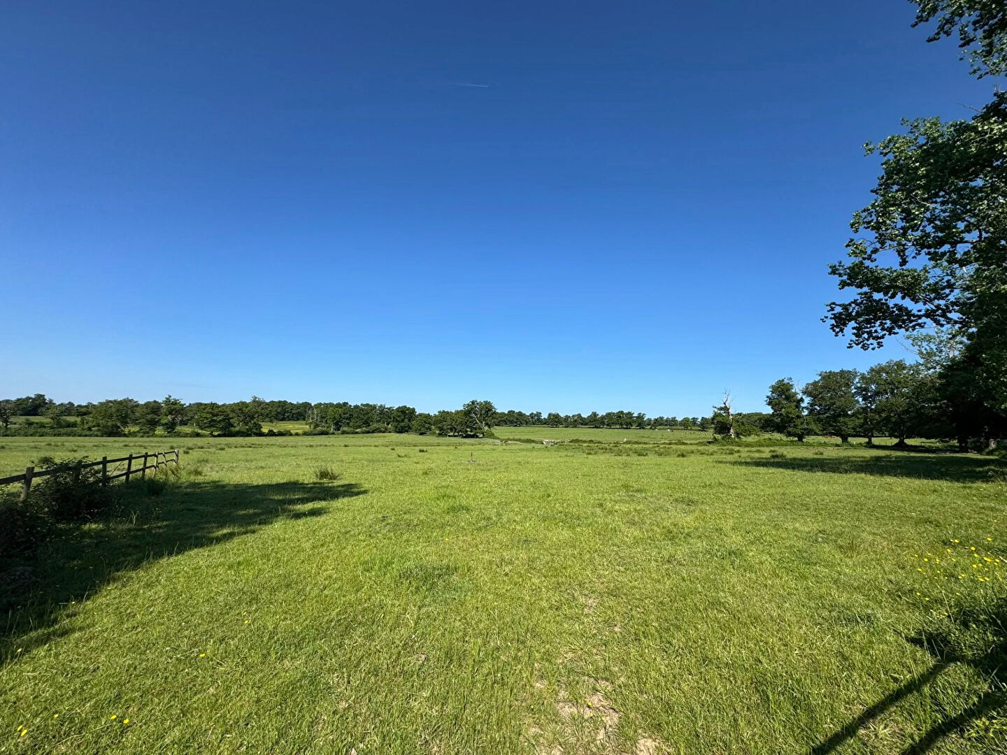 Photo Haute Vienne - Exploitation agricole de 151 hectares avec grande maison et dépendances image 4/6