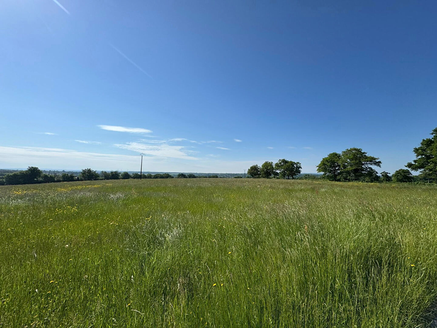 Photo Haute Vienne - Exploitation agricole de 151 hectares avec grande maison et dépendances image 5/6