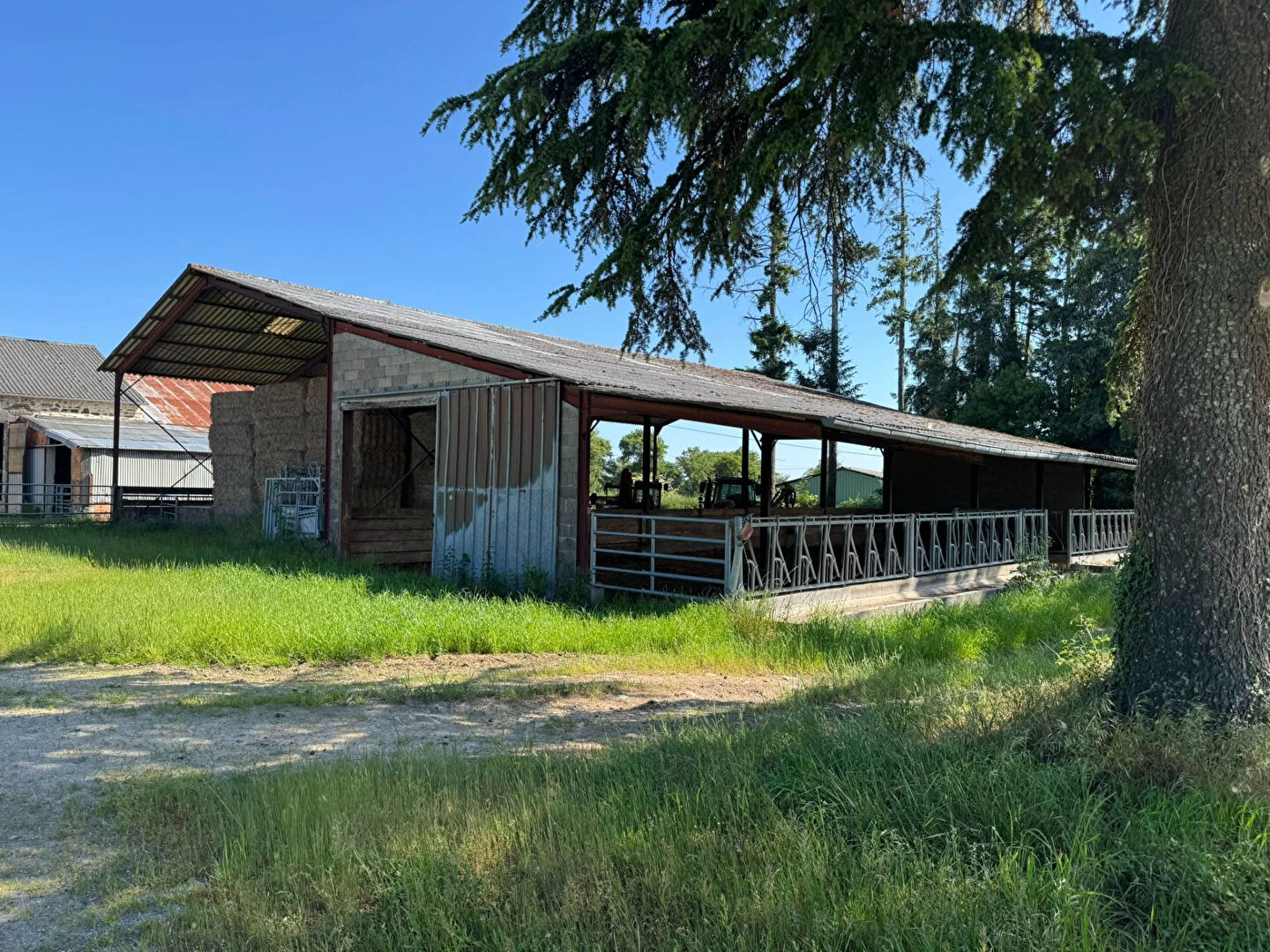 Photo Haute Vienne - Exploitation agricole de 151 hectares avec grande maison et dépendances image 6/6