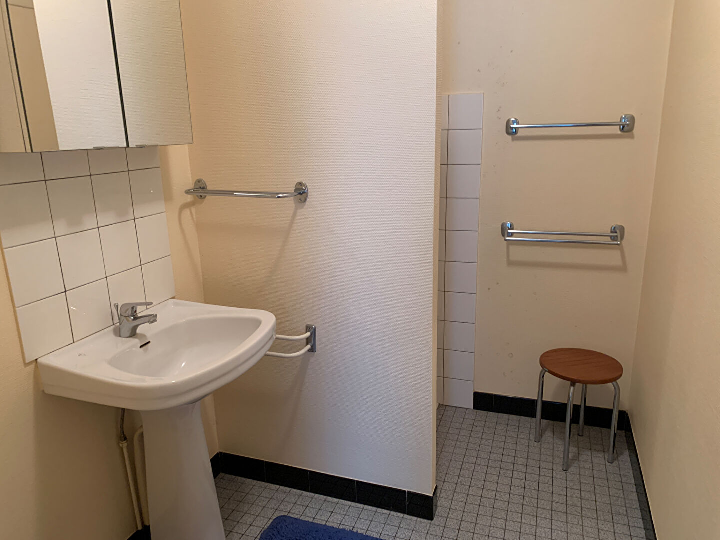 Bathroom with shower, sink, and grab bars in a property located in Charente, Nouvelle-Aquitaine, 16700, France.