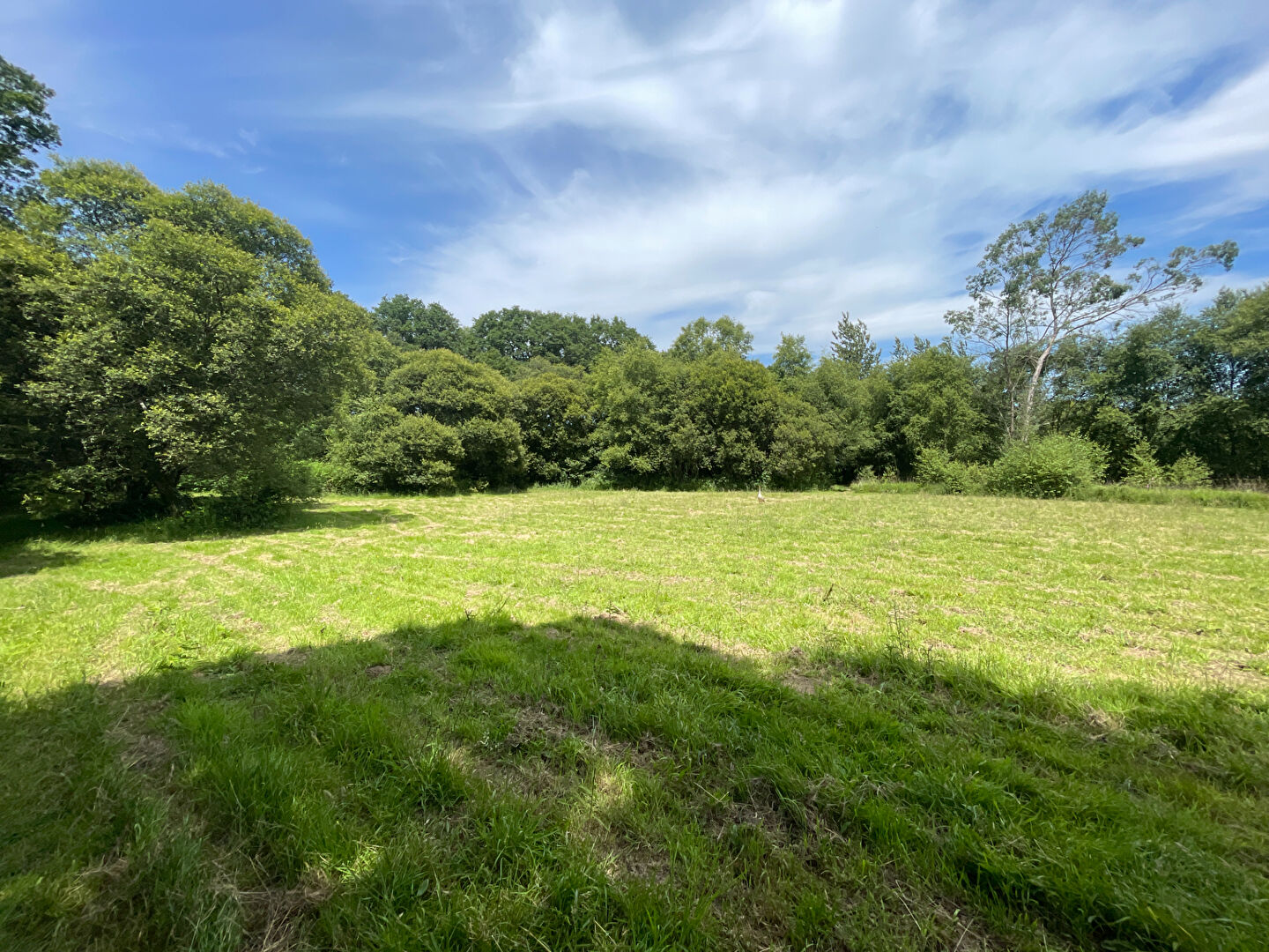 Photo CÔTES D'ARMOR: Plourac'h. Longère en pierre de 4 chambres, gîte, 4,5 ha de terrain et étang de loisirs. image 2/6