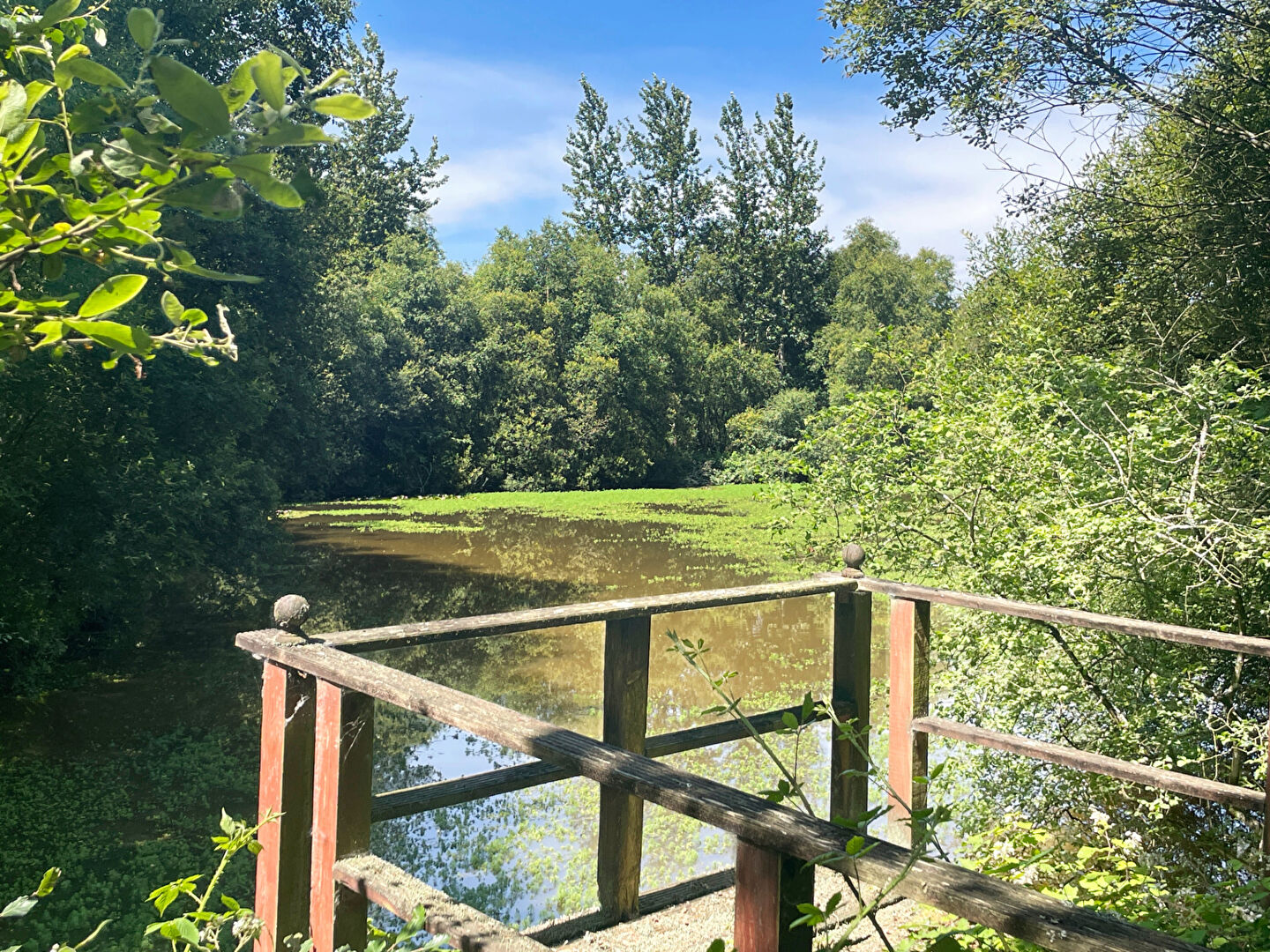 Photo CÔTES D'ARMOR: Plourac'h. Longère en pierre de 4 chambres, gîte, 4,5 ha de terrain et étang de loisirs. image 3/6