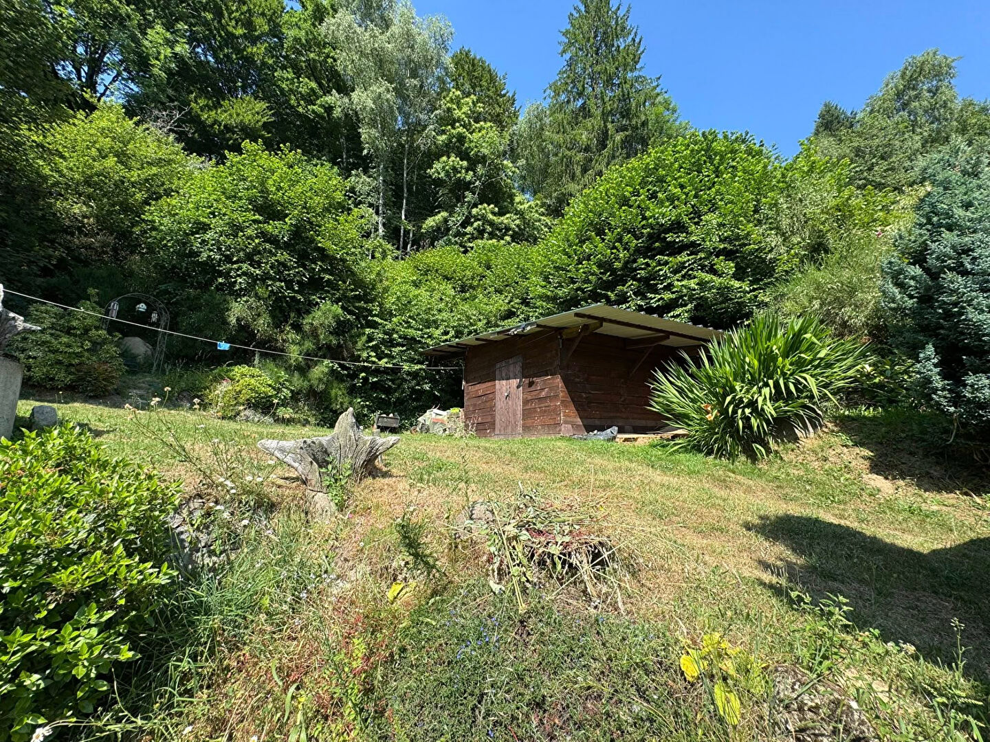 Property in Creuse, Nouvelle-Aquitaine, featuring a wooden structure surrounded by lush greenery and trees.