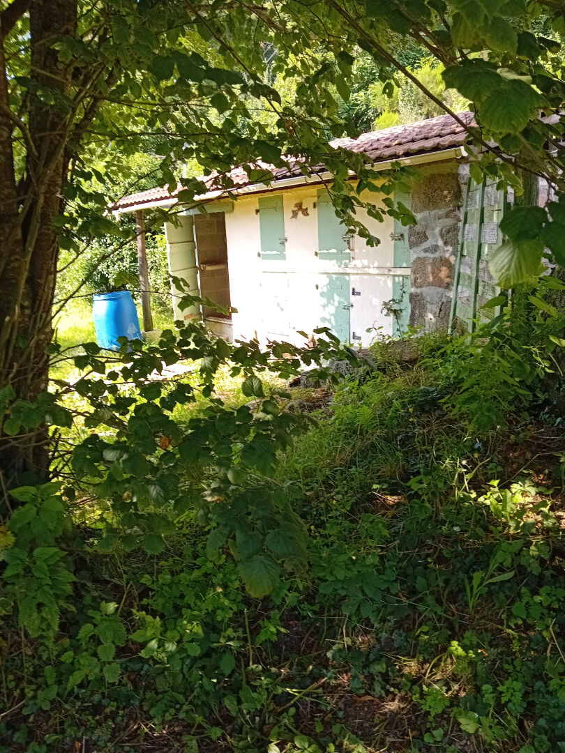 Three-bedroom property surrounded by greenery in Creuse, Nouvelle-Aquitaine, offering potential for renovation.