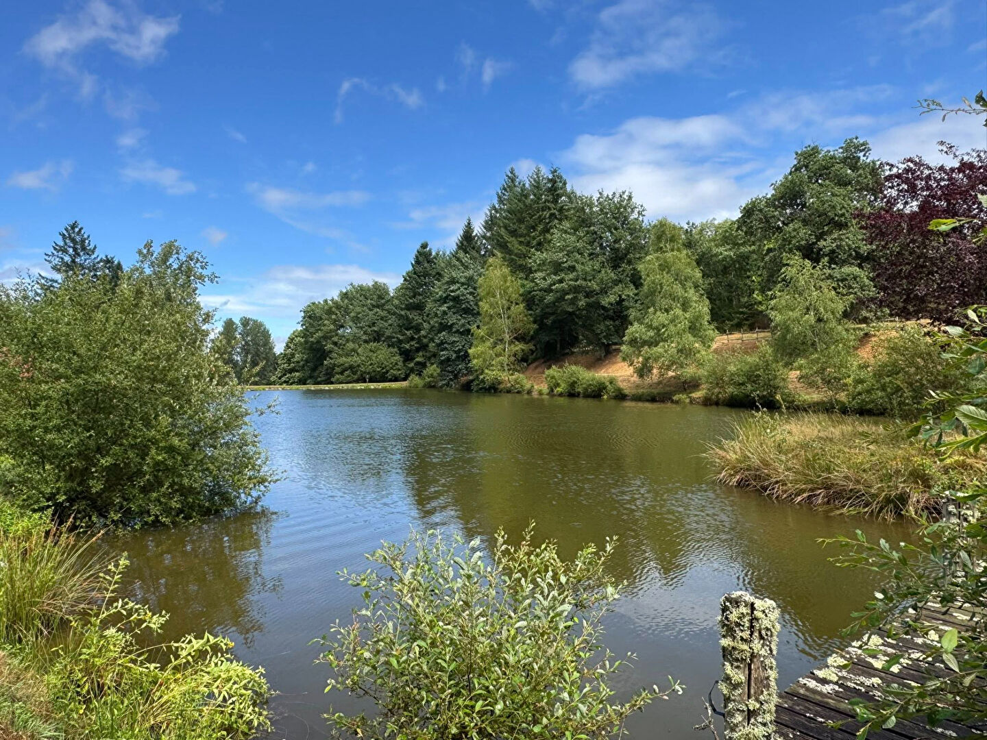 Photo HAUTE VIENNE - Propriété avec étang privé et terrain de 18580m² image 6/6
