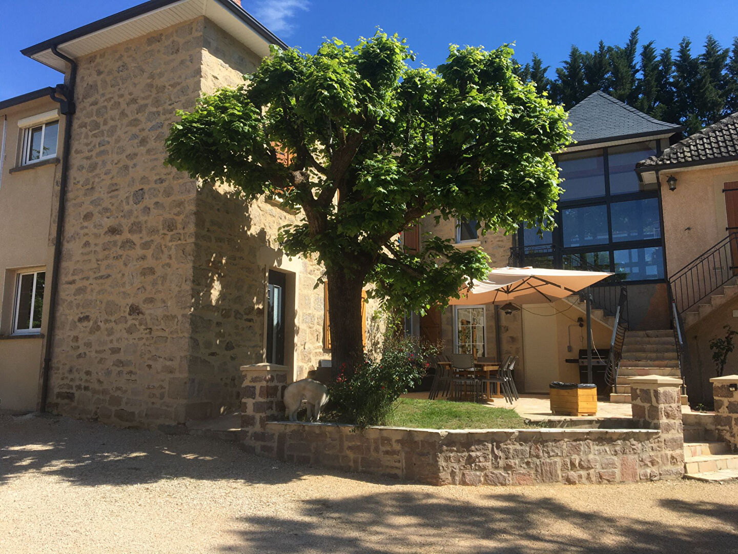 Stone property with a large tree and outdoor seating area in Corrèze, Nouvelle-Aquitaine, featuring eight bedrooms.