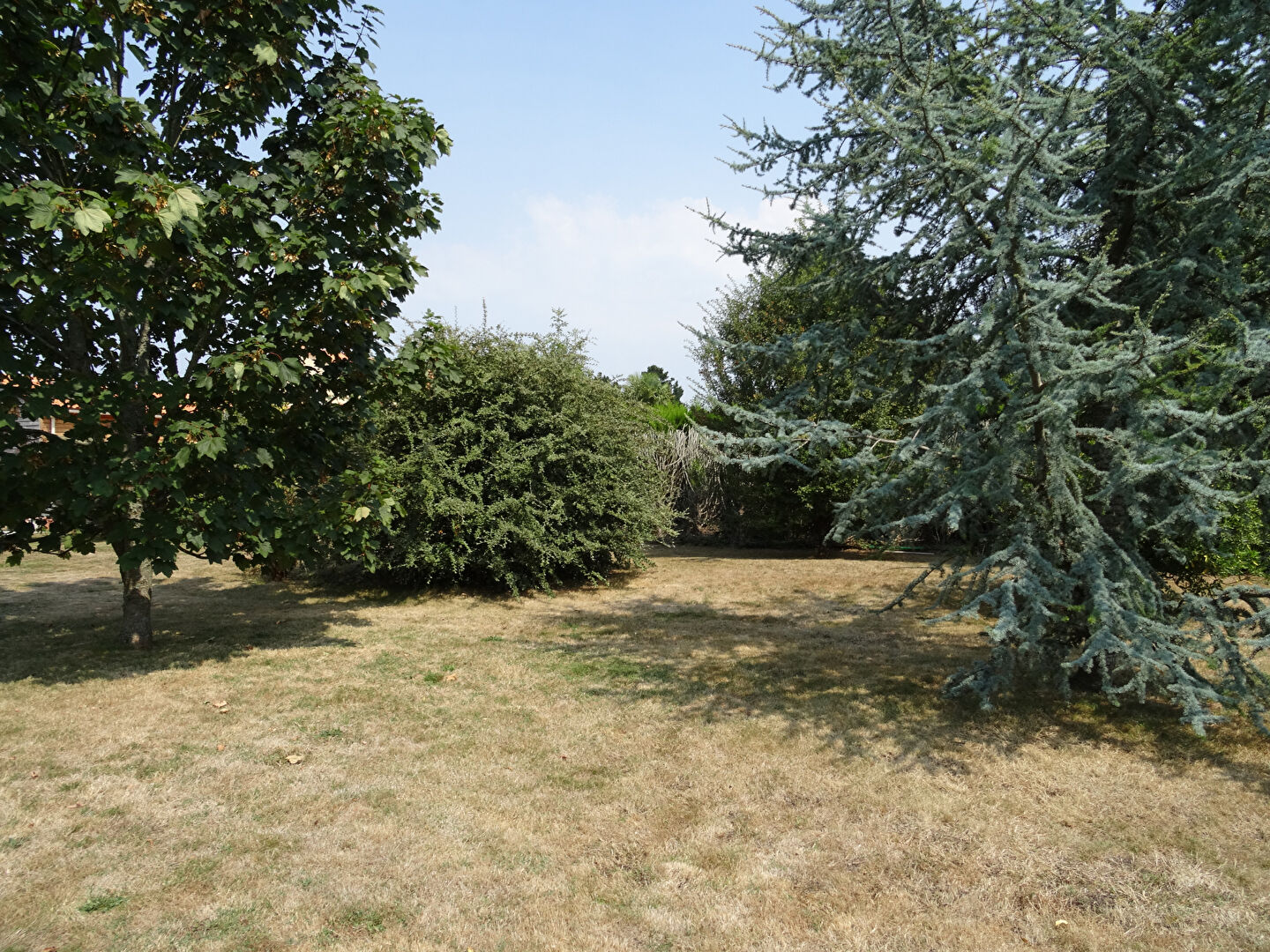 Spacious garden area with trees, located in Vendée, Pays-de-la-Loire, featuring potential for outdoor living.