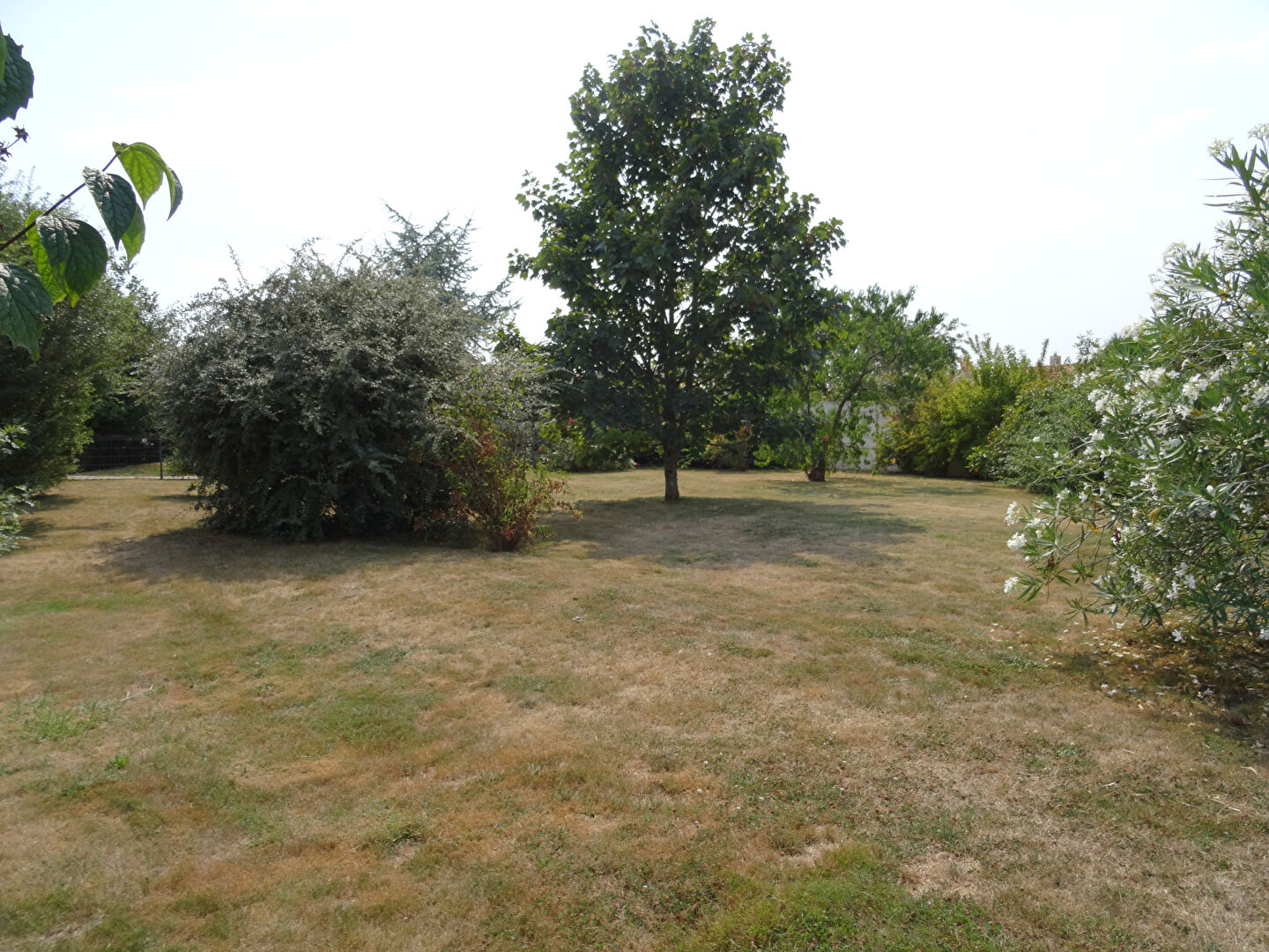 Spacious garden with mature trees and shrubs in Vendée, Pays-de-la-Loire, ideal for outdoor activities.
