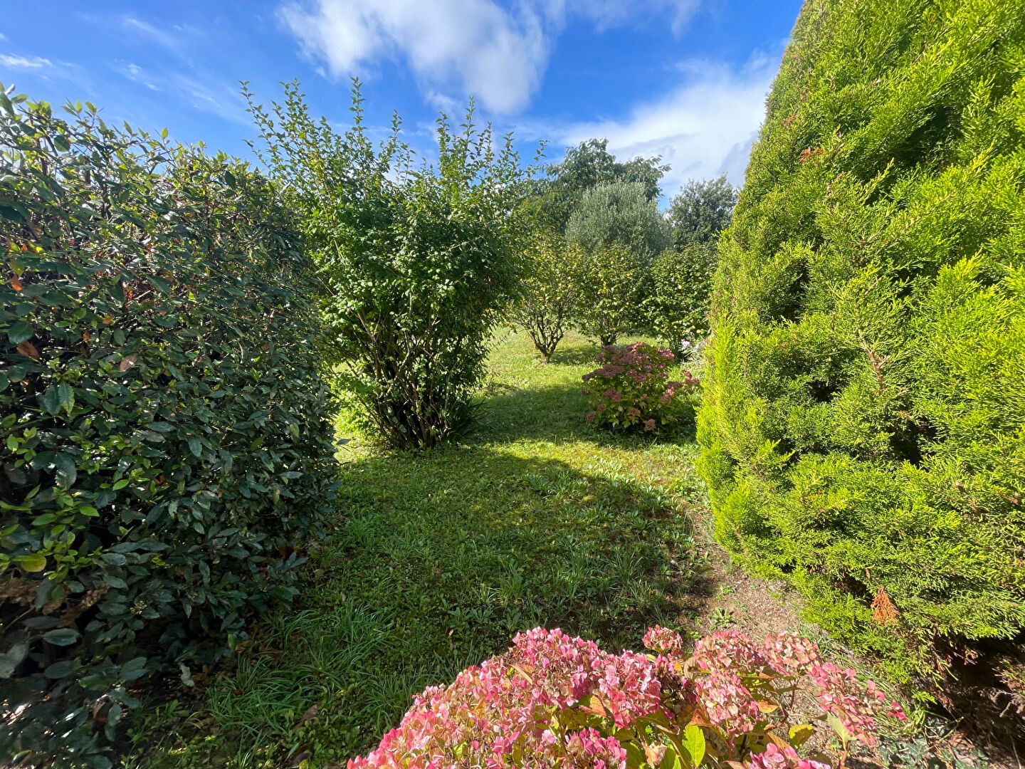 Photo FINISTÈRE : Châteauneuf du Faou. Grande maison de ville de 4 chambres avec garage et jardin. image 3/6