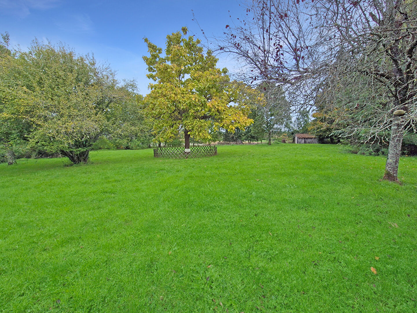 Photo CORREZE. LUBERSAC. Maison en pierre de 3 chambres (en plein pied), grange attenante, puits et jardin plat de 3565 m². image 4/6