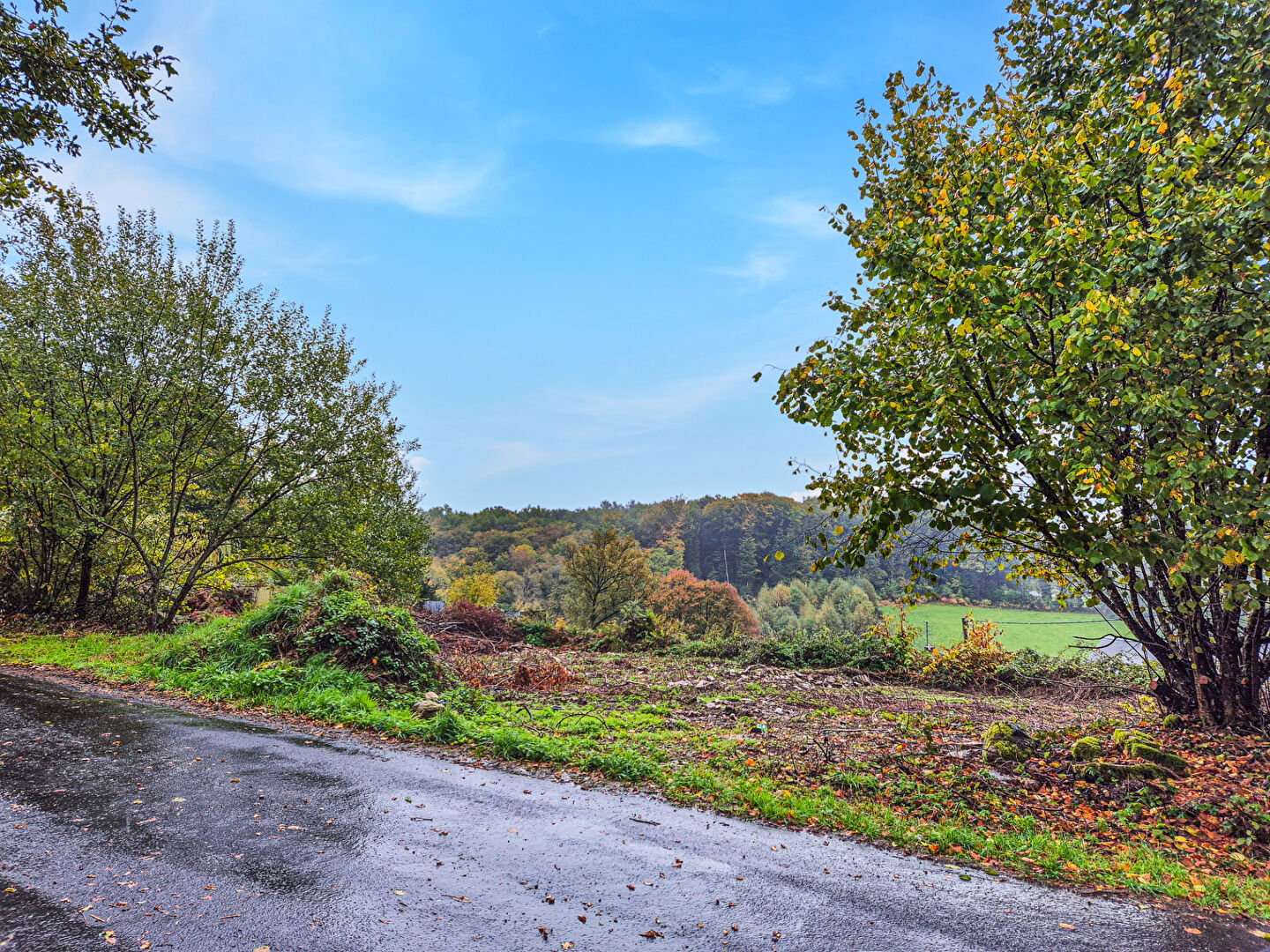 Photo CORREZE. CHAMBERET. Terrain plat de 1038 m² image 4/4