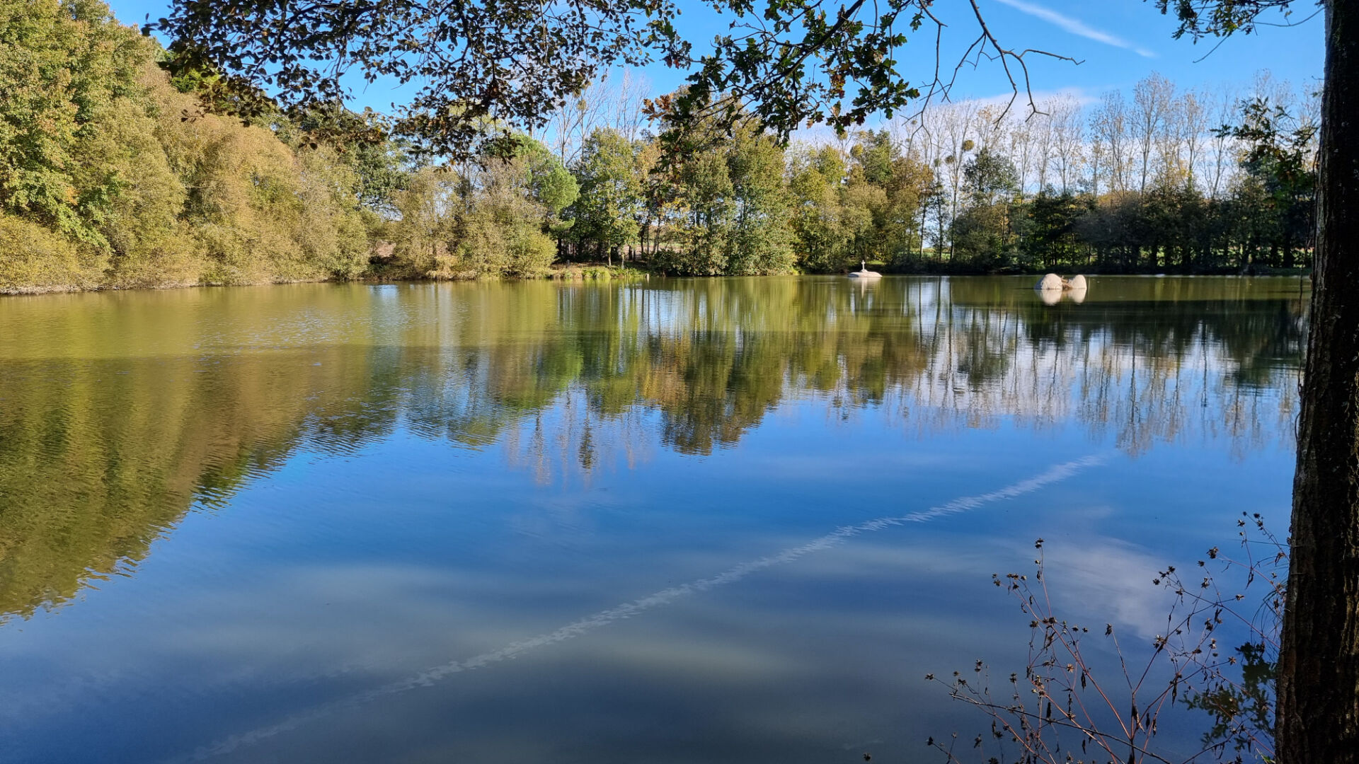 Tranquil lake view surrounded by trees, located in Morbihan, Brittany, ideal for a property with outdoor potential.