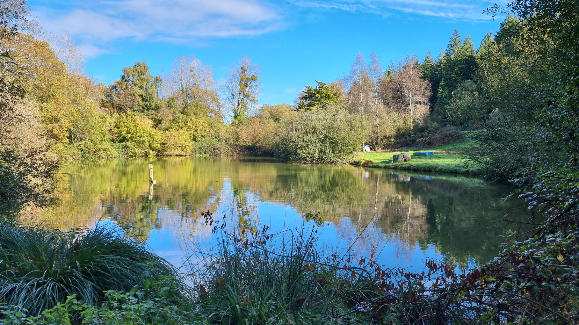 House in Meneac - view 1