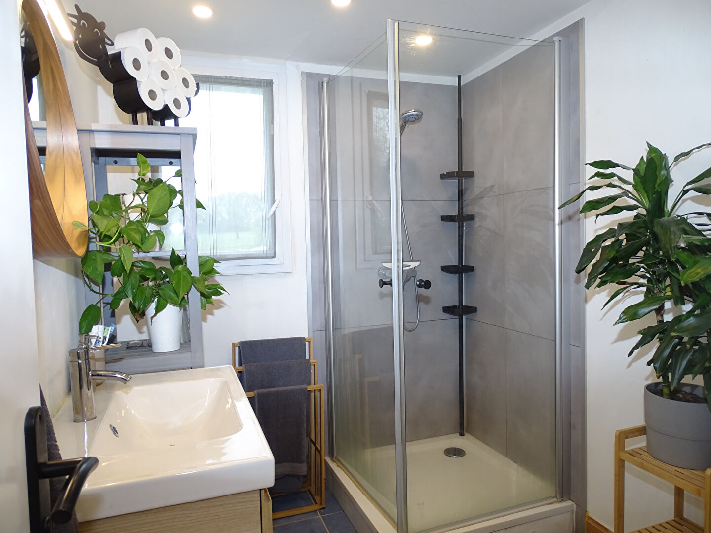 Modern bathroom with shower, sink, and plants in a property located in Morbihan, Brittany, postcode 56630.