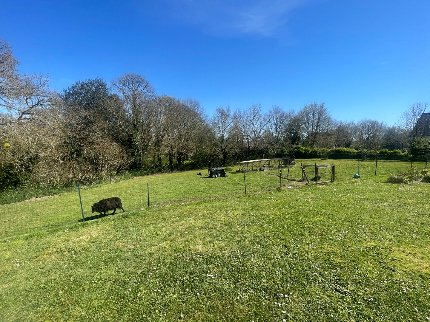 House in Landeleau - Image 2