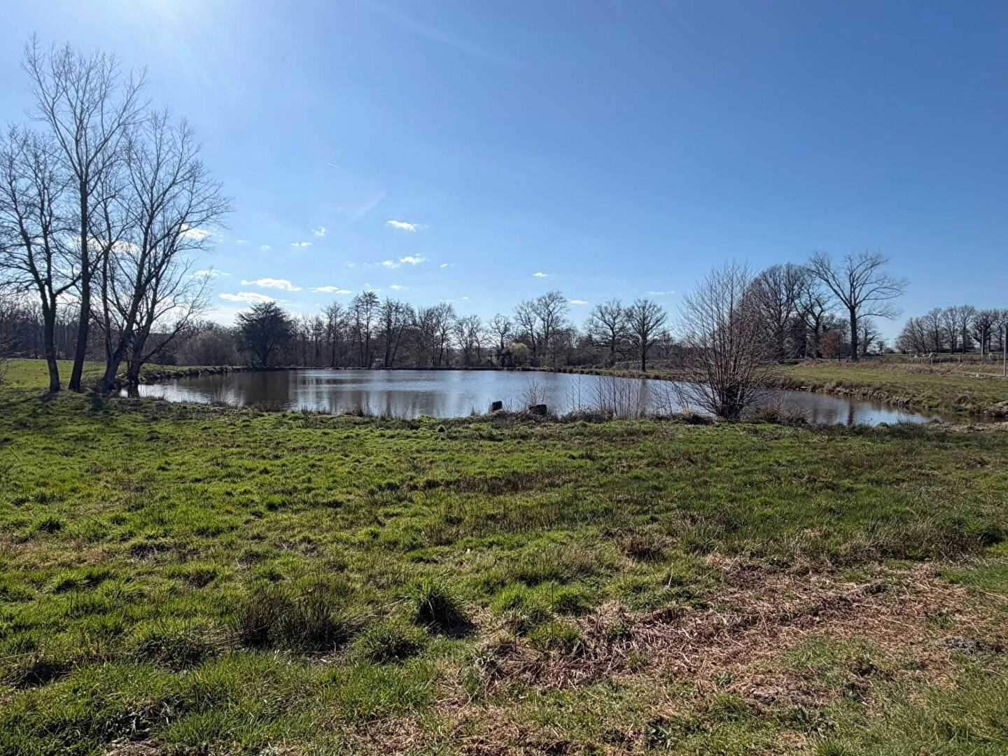 Property in Haute-Vienne, Nouvelle-Aquitaine, featuring a tranquil pond surrounded by greenery and trees.
