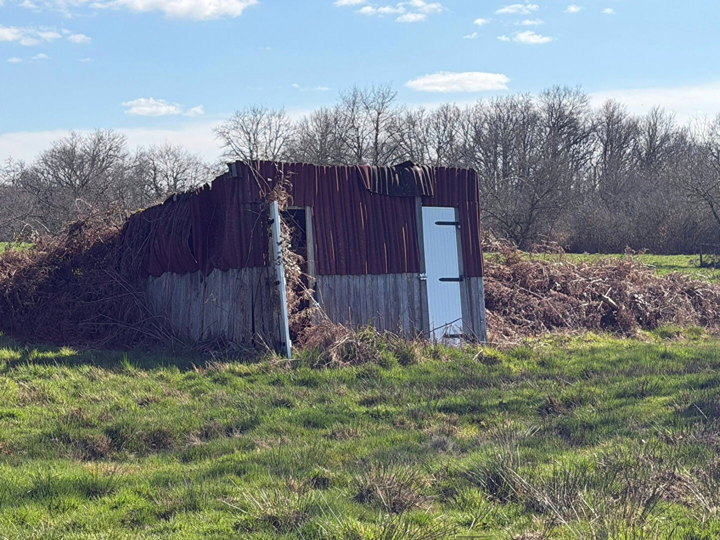 Property in Haute-Vienne, Nouvelle-Aquitaine with rustic exterior and overgrown surroundings.