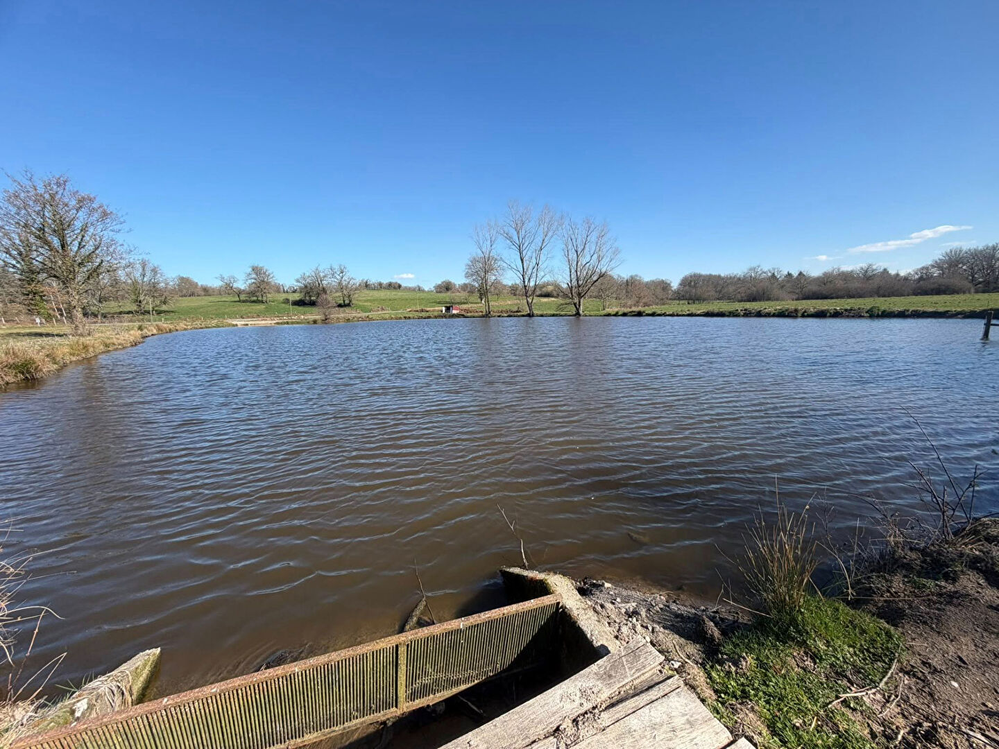 Tranquil scene of water surrounded by greenery in Haute-Vienne, Nouvelle-Aquitaine, ideal for a property setting.