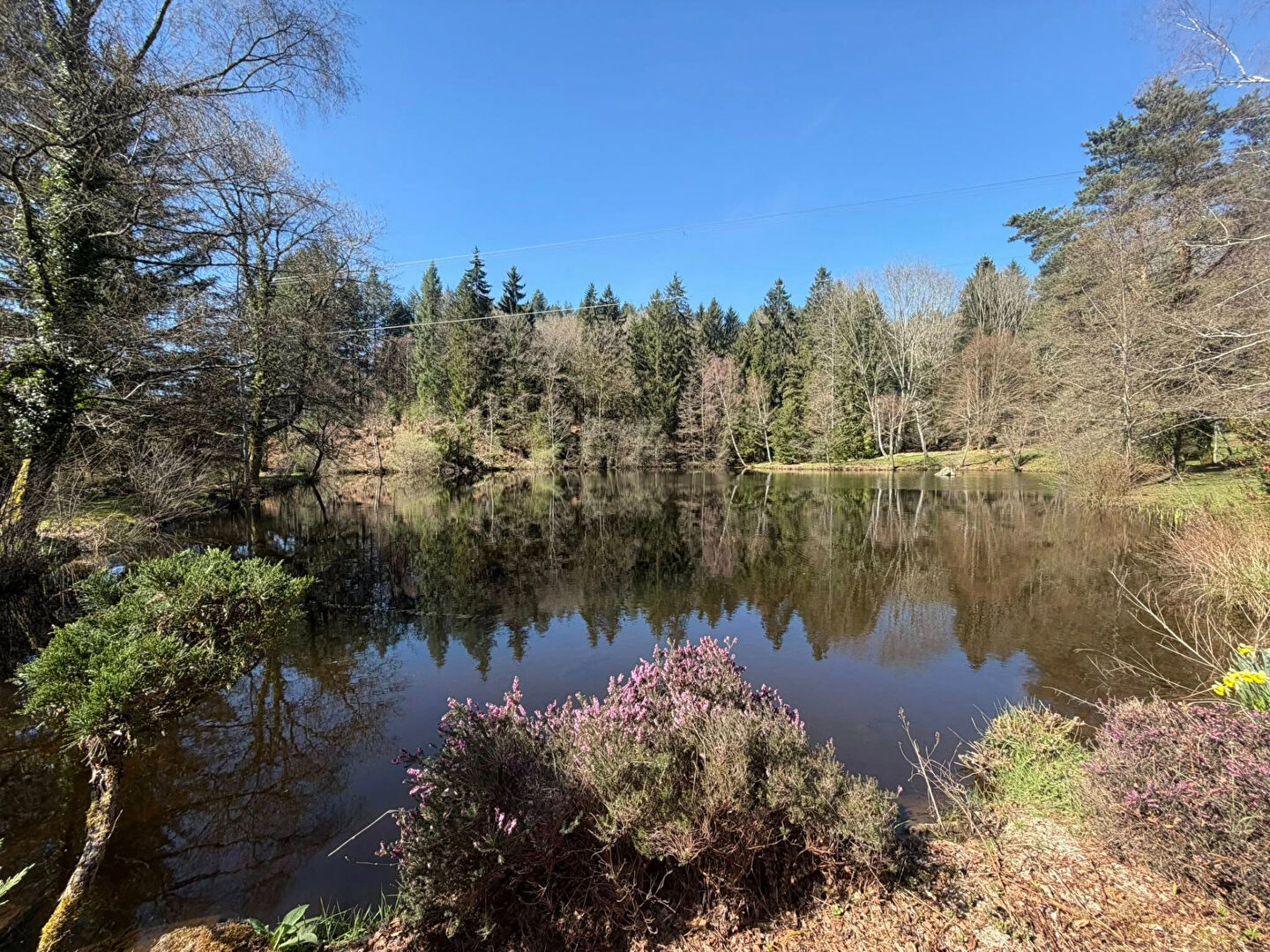 Scenic view of a tranquil pond surrounded by greenery in Haute-Vienne, Nouvelle-Aquitaine, featuring natural landscape.