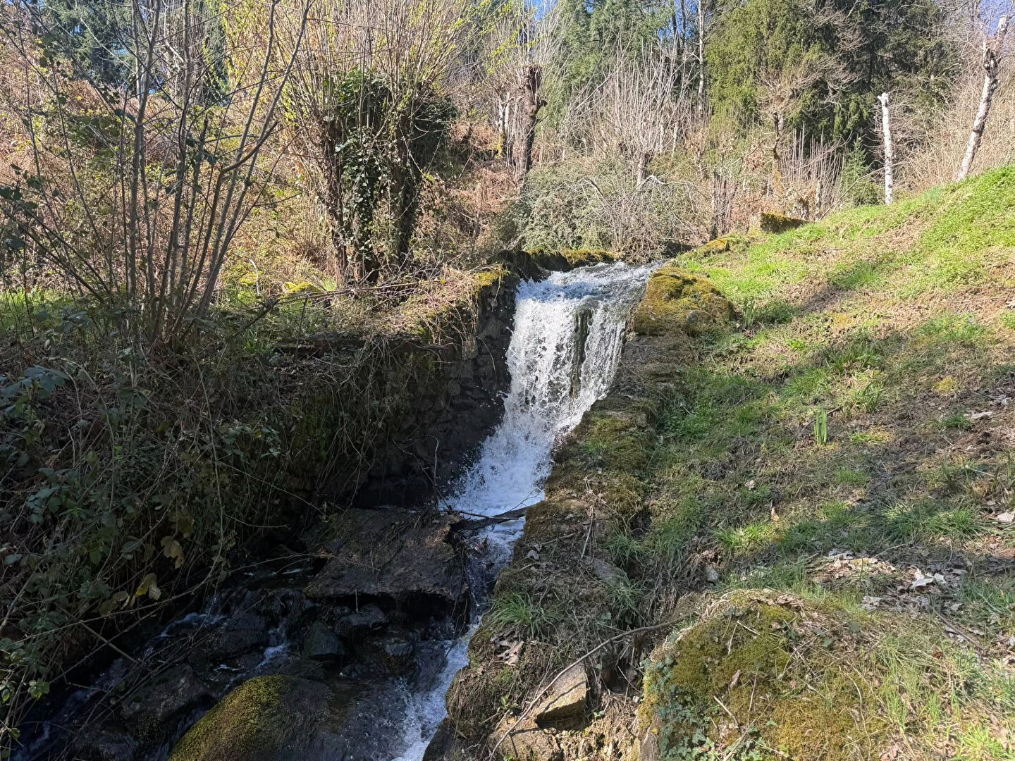 Property with a picturesque waterfall in Haute-Vienne, Nouvelle-Aquitaine, featuring lush greenery and tranquil surroundings.