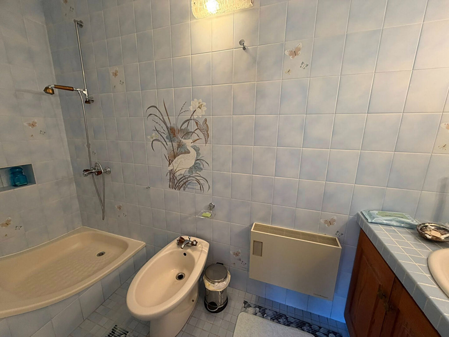 Bathroom featuring a shower, bidet, and decorative tiles, located in Haute-Vienne, Nouvelle-Aquitaine.