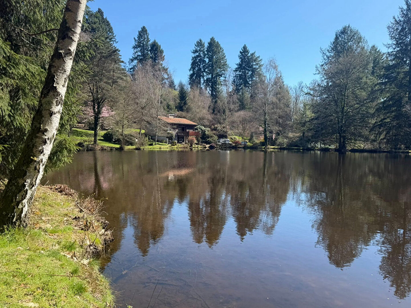 Charming property in Haute-Vienne, Nouvelle-Aquitaine, featuring a serene pond and lush surrounding greenery.