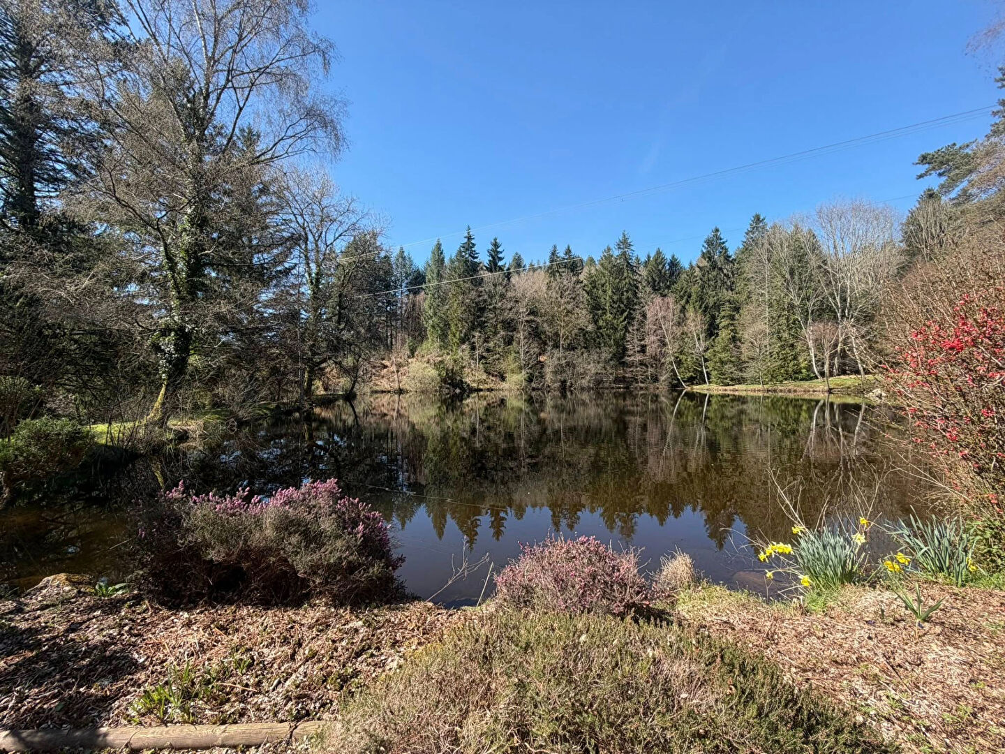 Scenic view of a tranquil pond surrounded by trees and flowers in Haute-Vienne, Nouvelle-Aquitaine.
