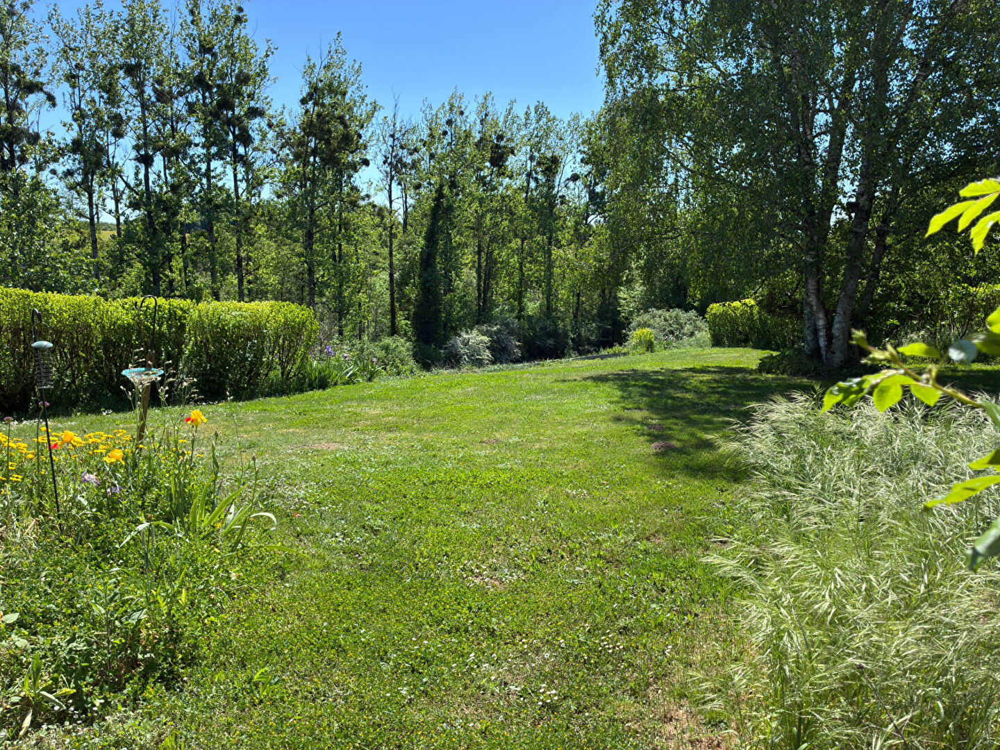 Spacious garden with lush greenery, located in Charente, Nouvelle-Aquitaine, featuring a tranquil outdoor space.