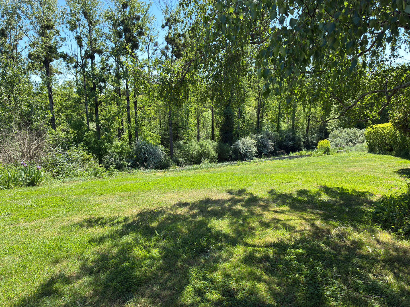 Spacious garden with lush greenery, located in Charente, Nouvelle-Aquitaine, ideal for outdoor relaxation.