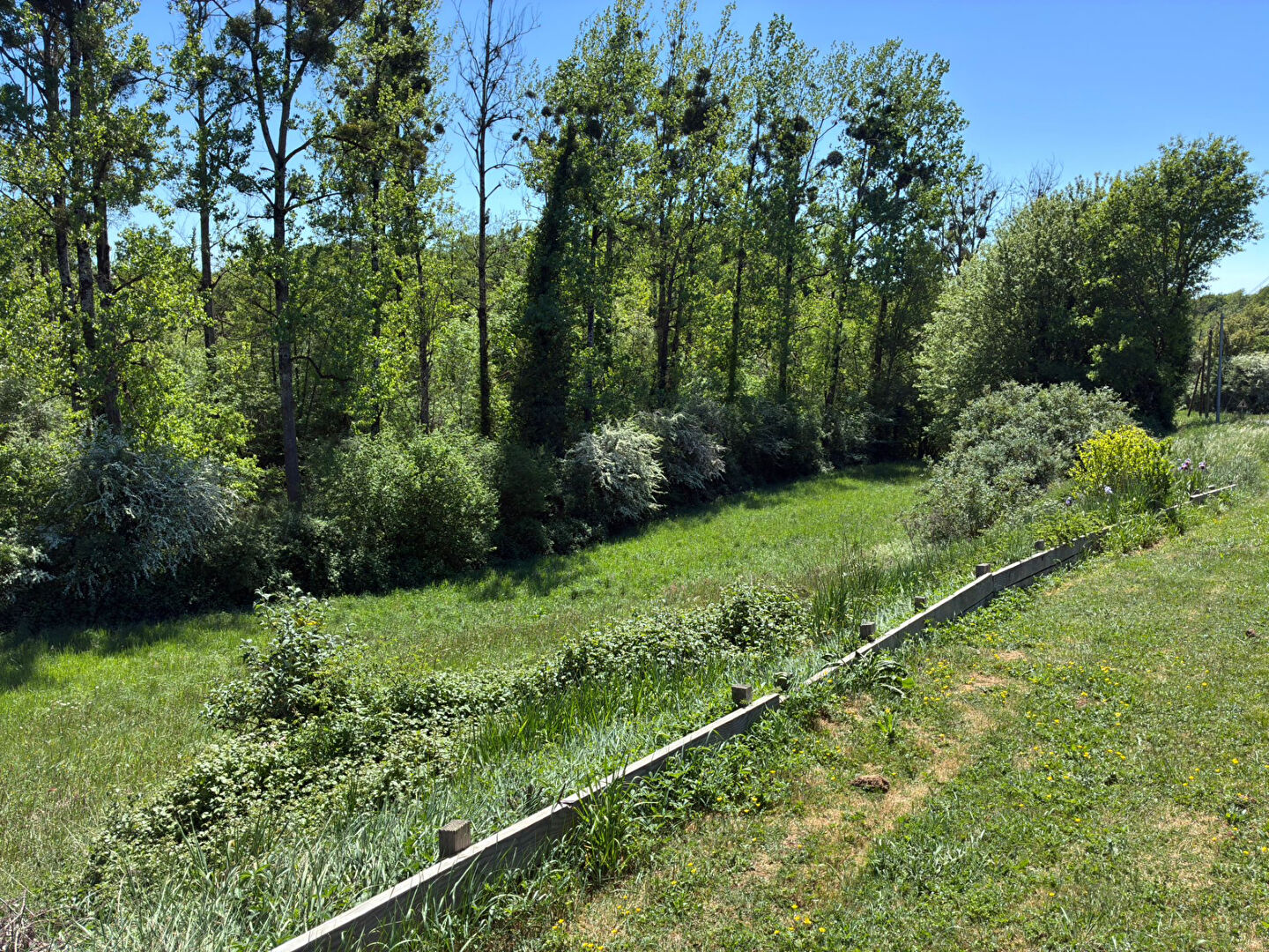 Spacious property in Charente, Nouvelle-Aquitaine, featuring a lush garden and surrounding greenery.