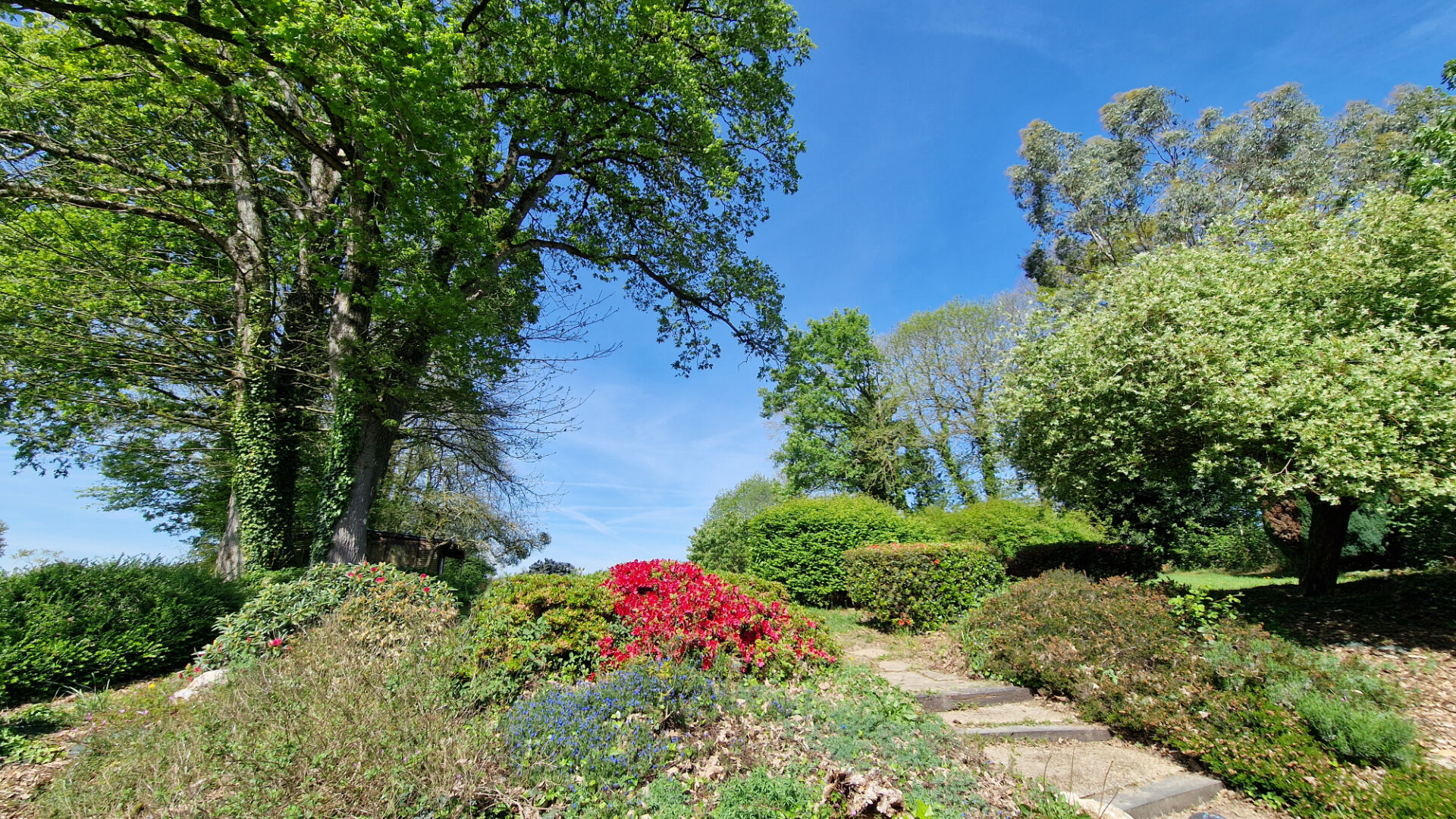 Garden with diverse greenery and flowering plants surrounding a path, located in Morbihan, Brittany, 56430.