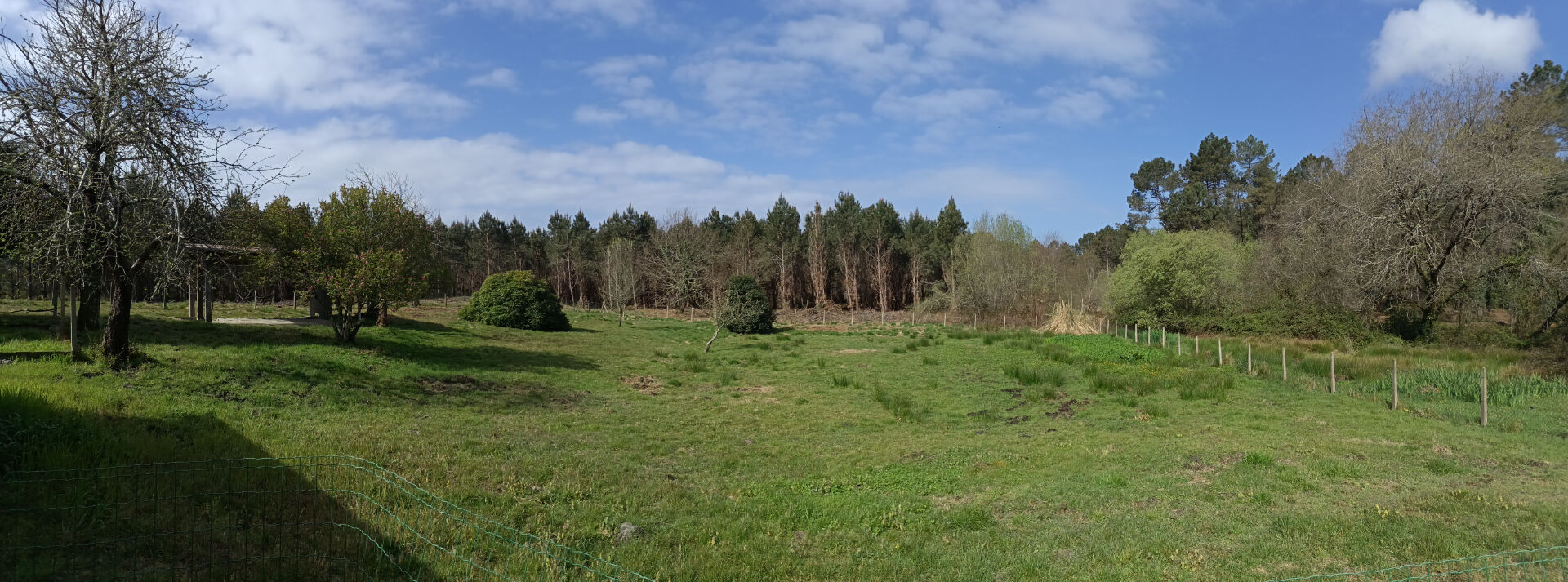 LANDES ATLANTIQUE - Spacious house et landscaped garden - Rare opportunity