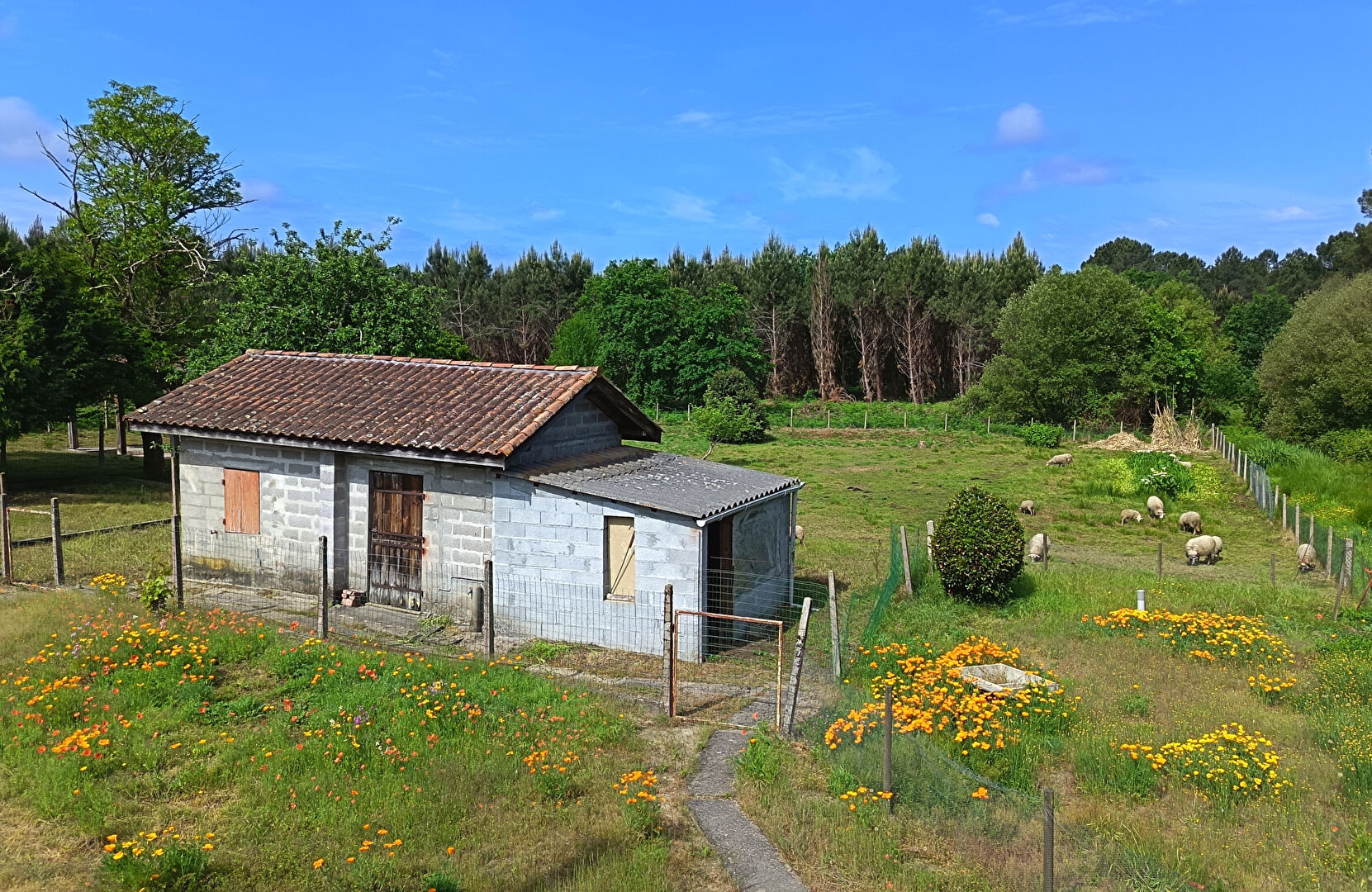 LANDES ATLANTIQUE - Spacious house et landscaped garden - Rare opportunity