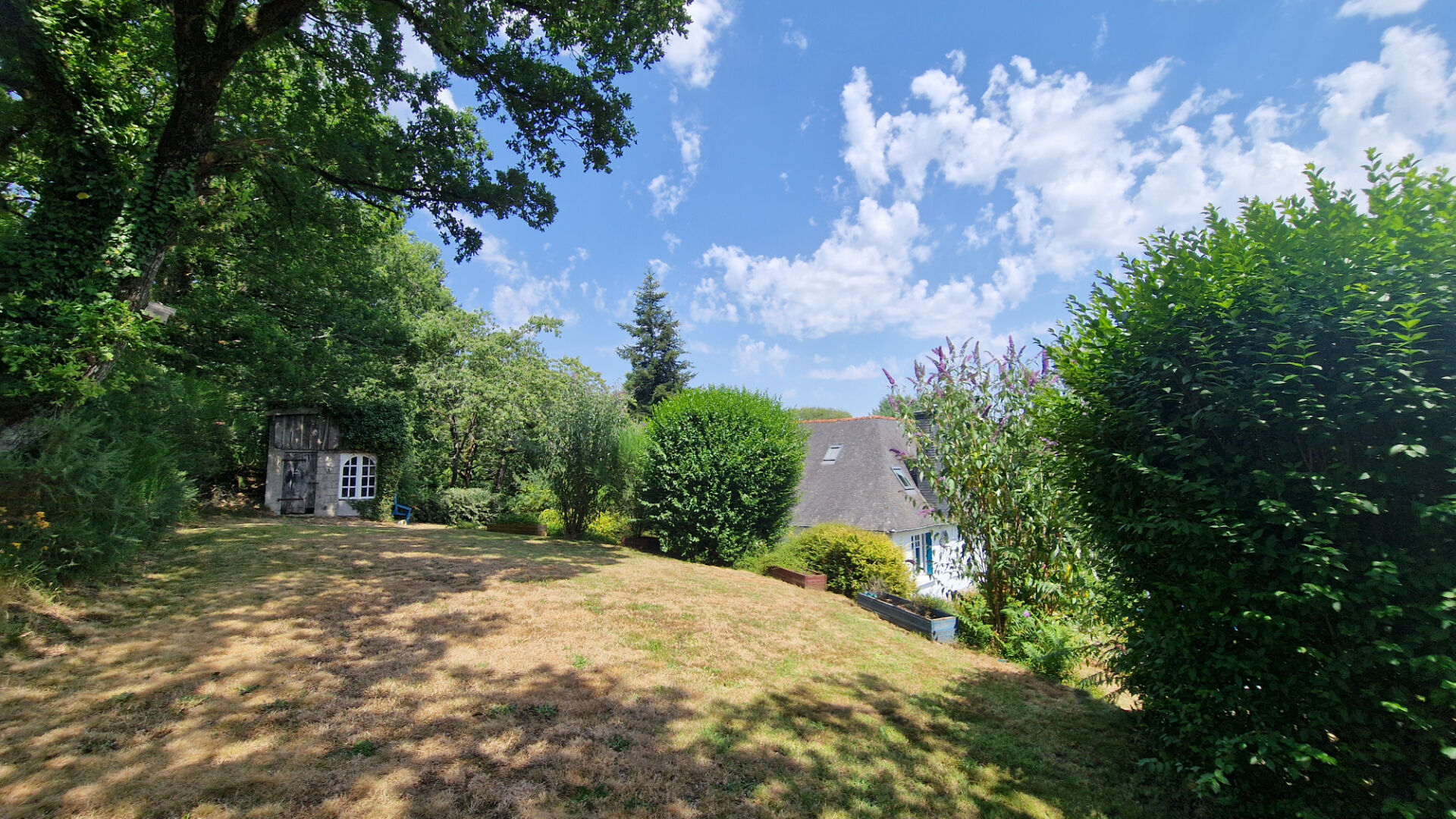 Property with garden in Côtes-d'Armor, Brittany, featuring trees and a clear sky. Four bedrooms available.